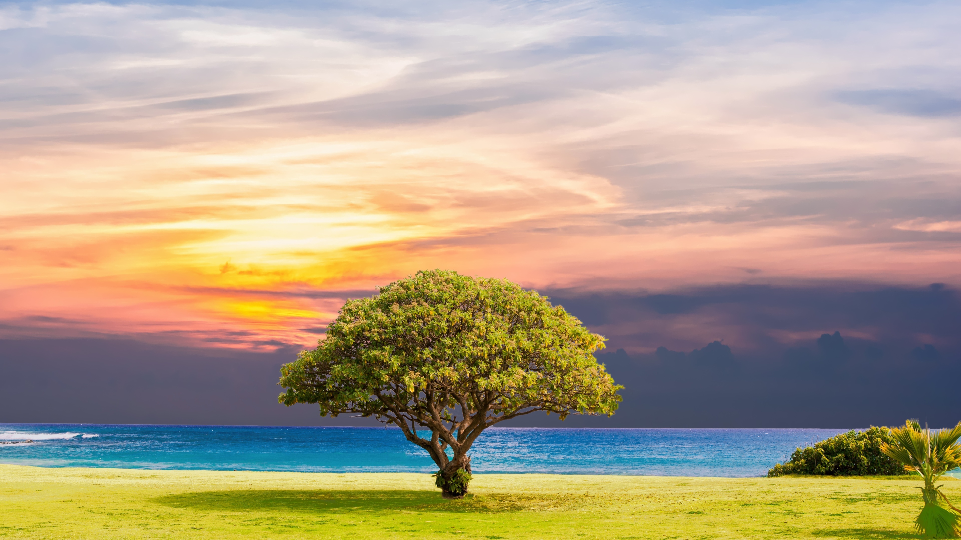Wallpaper 4k Ocean Summer Tree Landscape 4k Wallpaper
