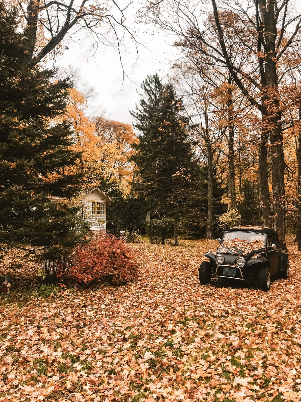 Download Vintage Autumn Black Car