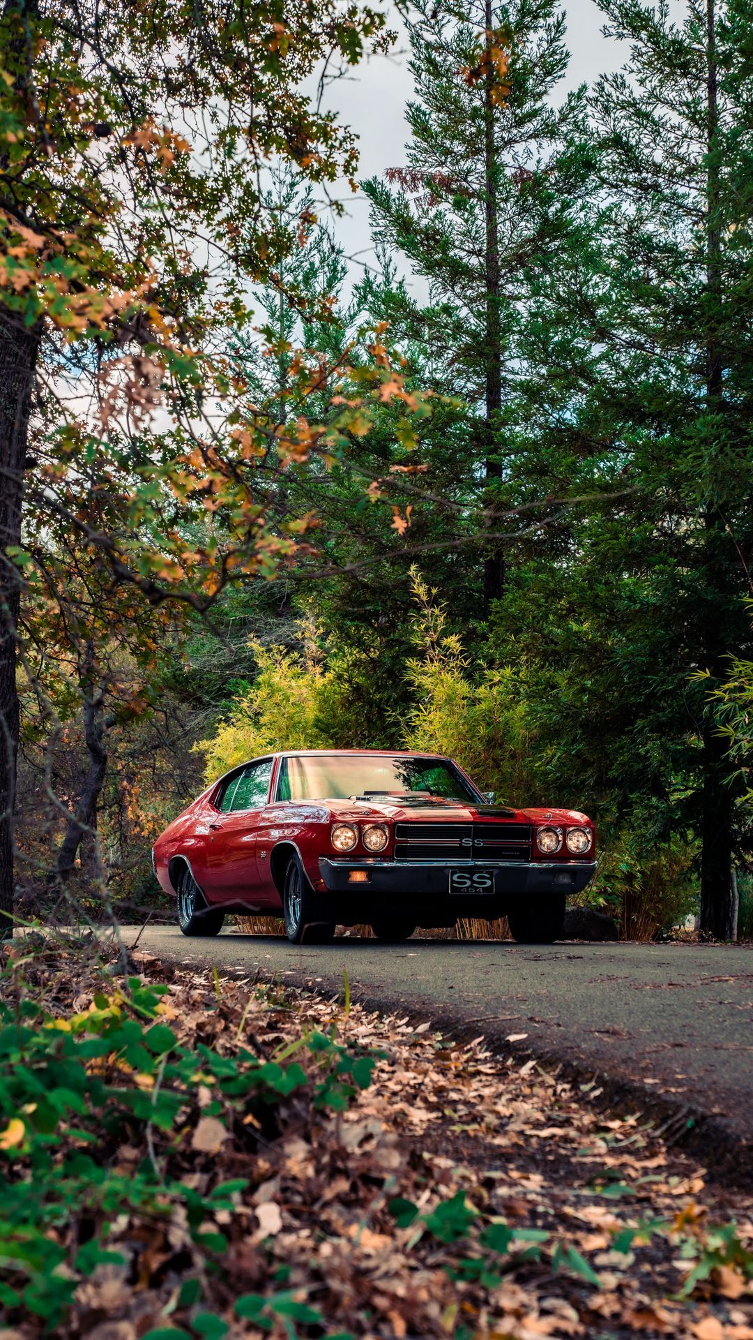 Klasik Arabalar. Car wallpaper, Car background, Luxury cars audi