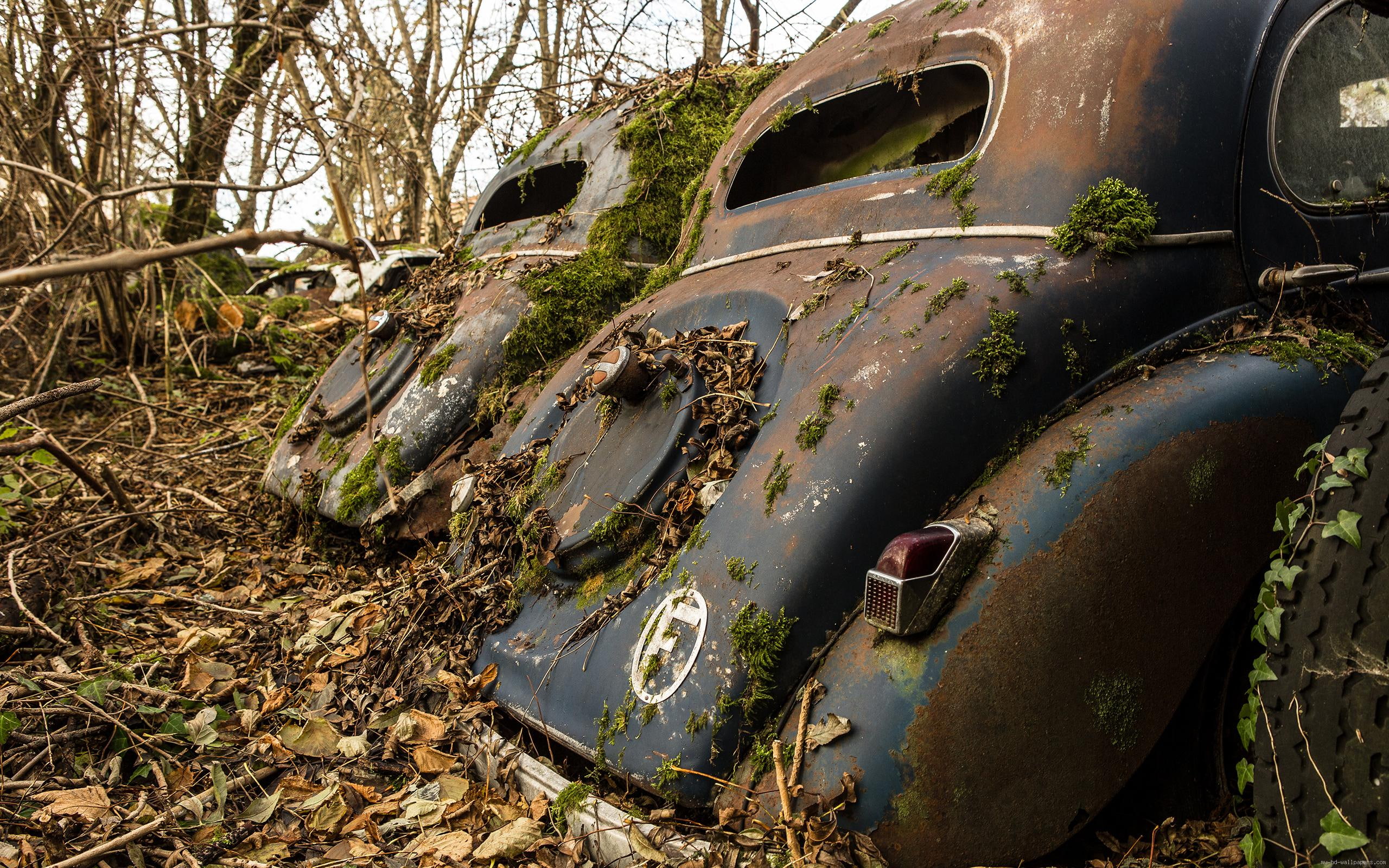 Wallpaper / old, 2K, leaves, car, volkswagen, dead, autumn, two, transport, beetles, wood, cars, forest free download