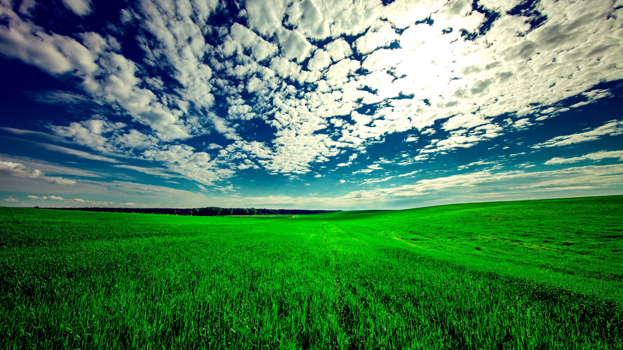 Download wallpaper 2048x1152 field, sky