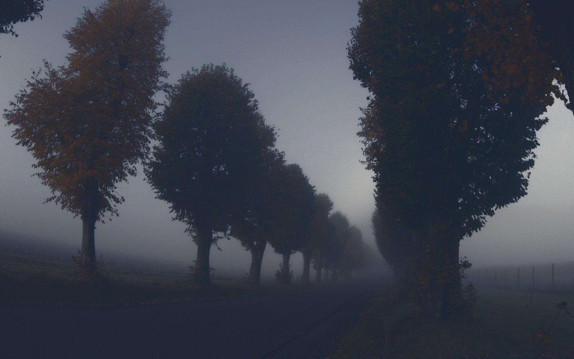 Dark Autumn Wallpaper