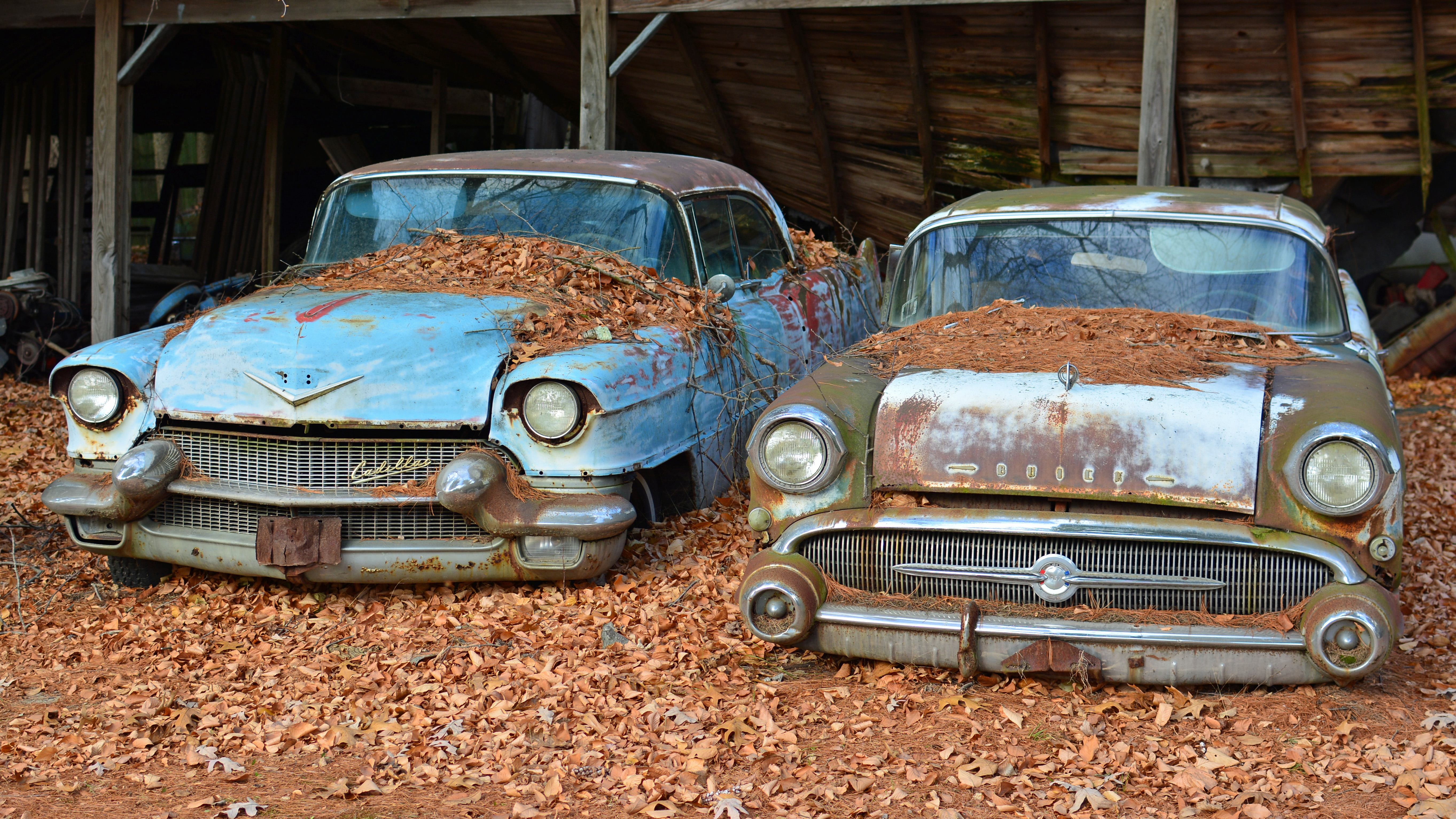Wallpaper, fall, abandoned, Buick, Vintage car, Cadillac, autumn, plant, classic, classiccars, automotive design, automotive exterior, compact car, motor vehicle, antique car, full size car, 1957buickcentury, 1950scadillacsedandeville 5451x3066