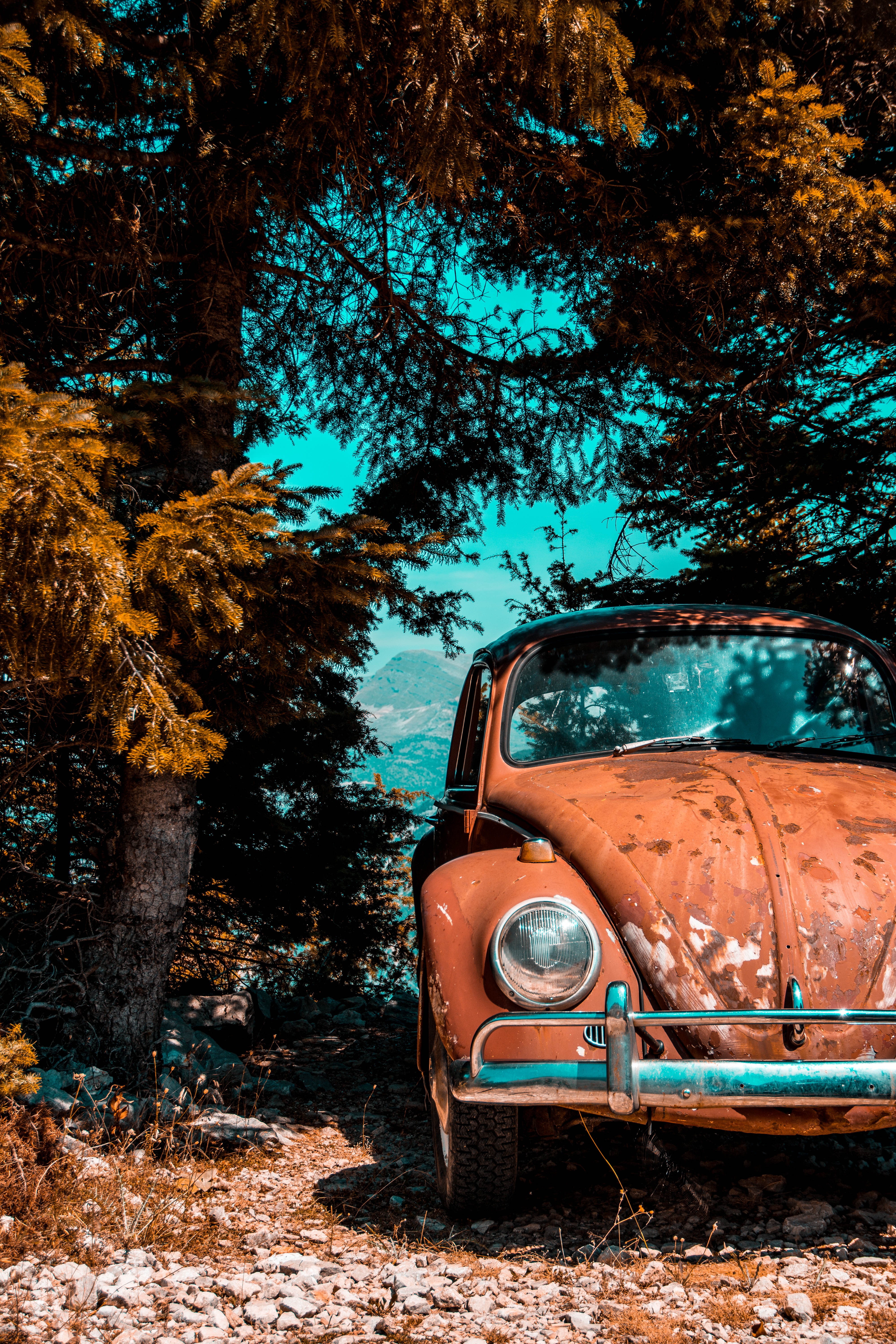 A Vintage Car Parked Under the Tree · Free