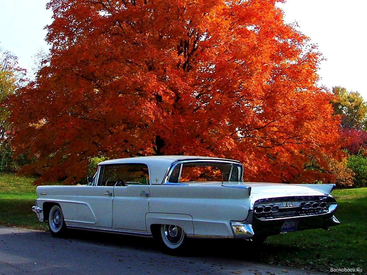 Cool wallpaper Cars, Retro Cars, Classic Car. FREE Download background