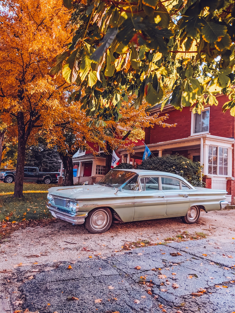 Classic sedan parked beside maple leaf during daytime photo