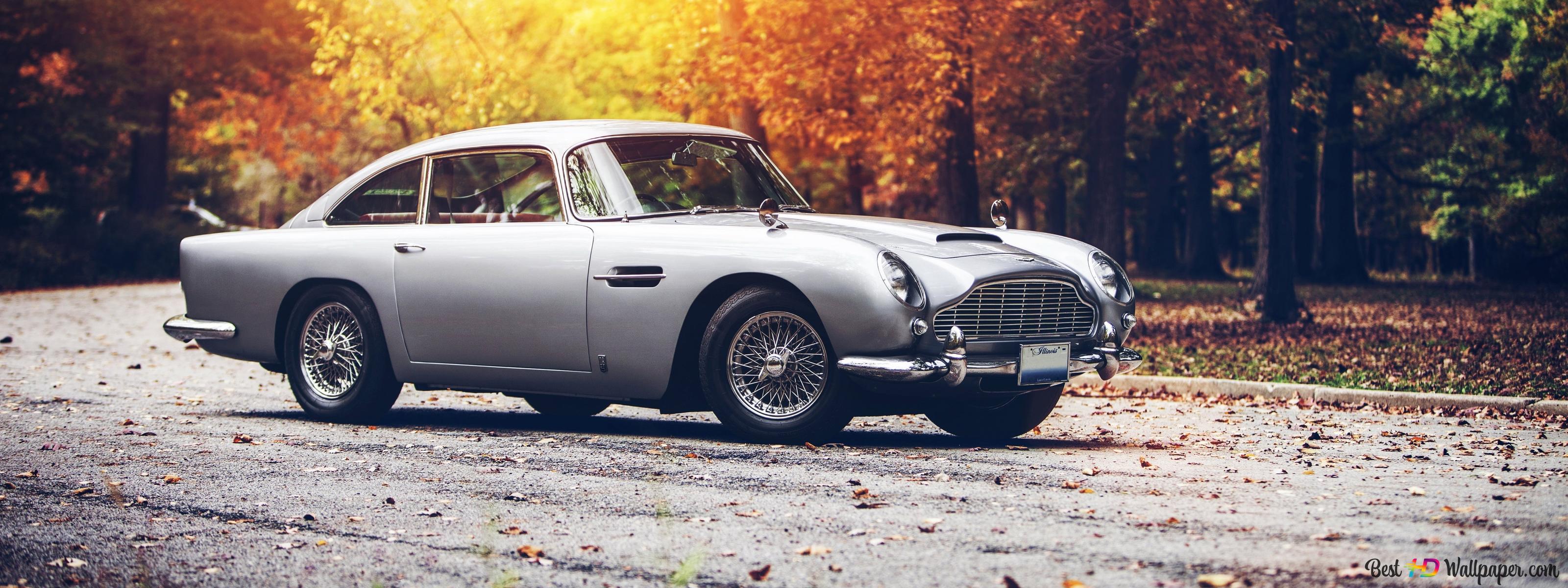 An old classic car in the red of the sun and autumn leaves in the autumn landscape 4K wallpaper download