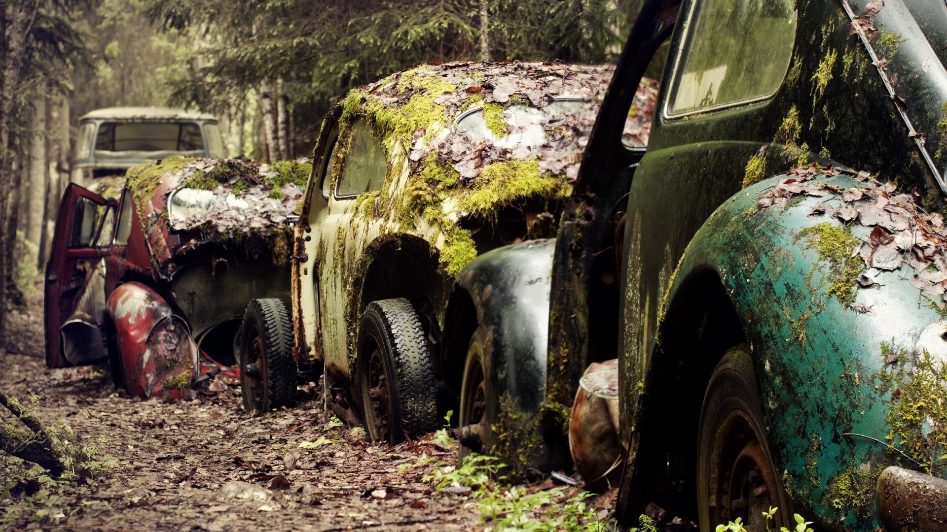 forest, car, vehicle, mud, vintage, jungle, transport, tree, autumn, material, scrap, rural area, off roading Gallery HD Wallpaper
