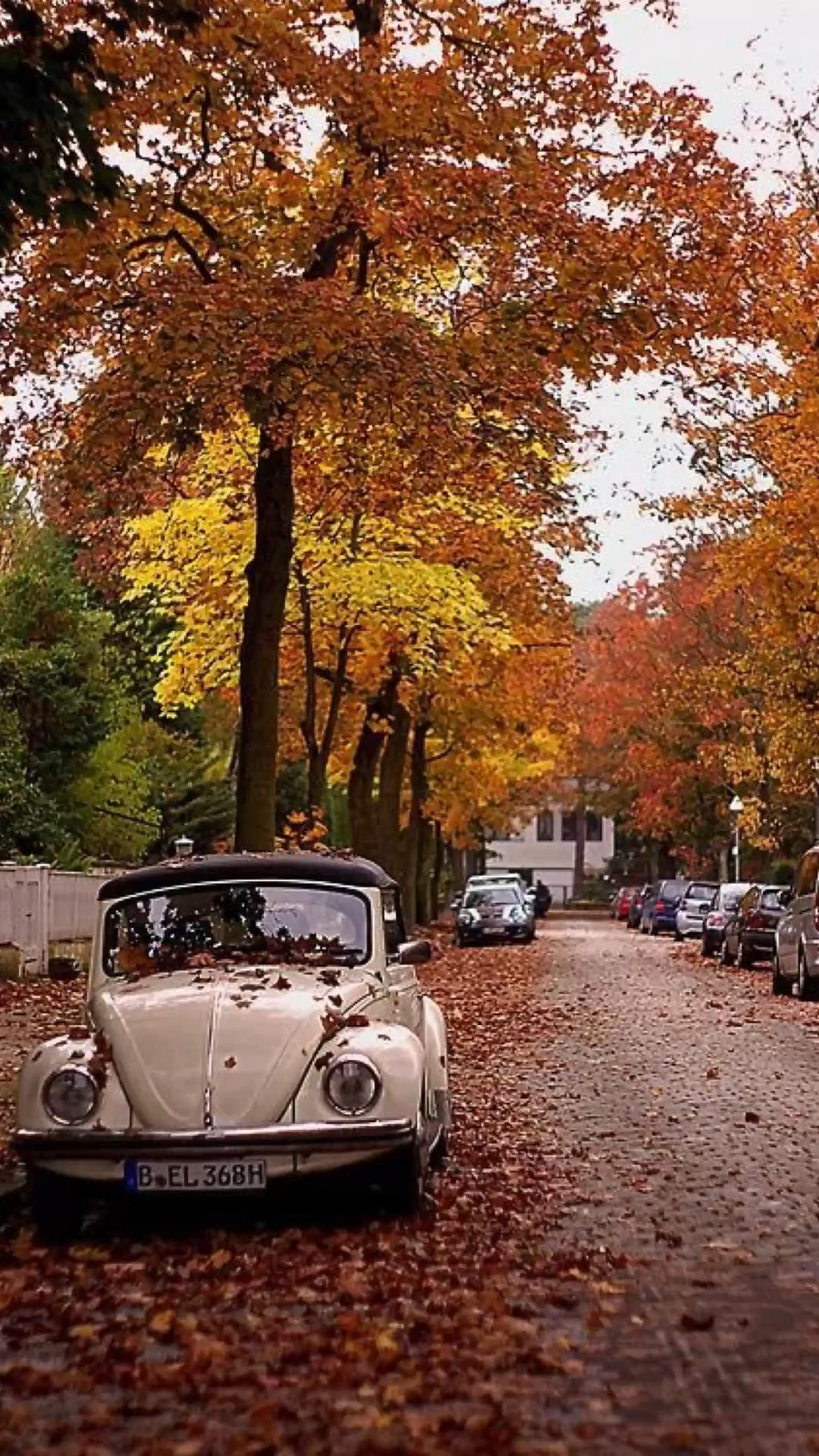 Autumn