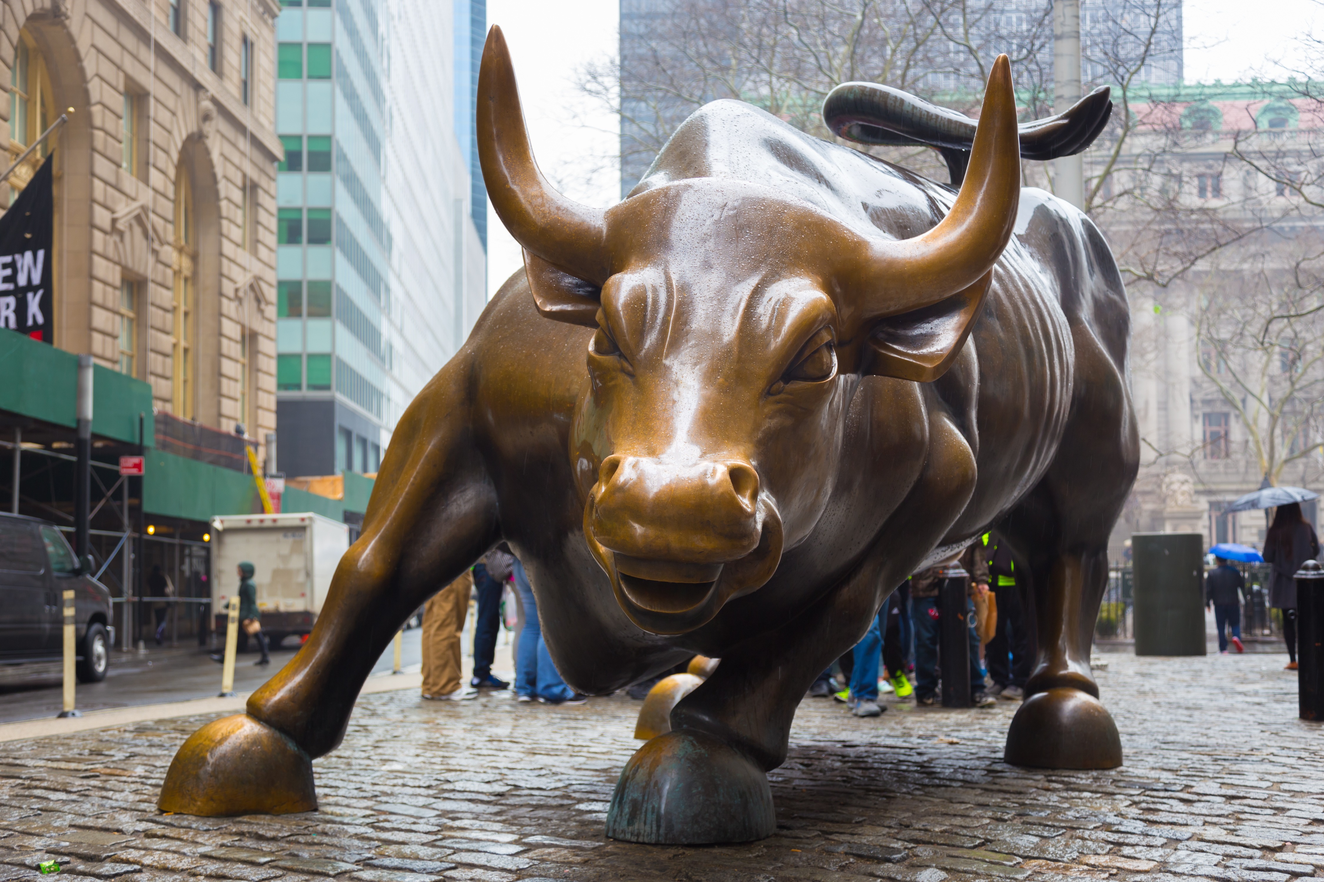 Wall Street Bull 1080P, 2k, 4k HD wallpaper, background free download