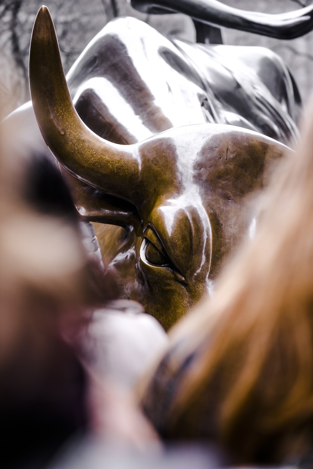 Wallstreet Bull Picture. Download Free Image