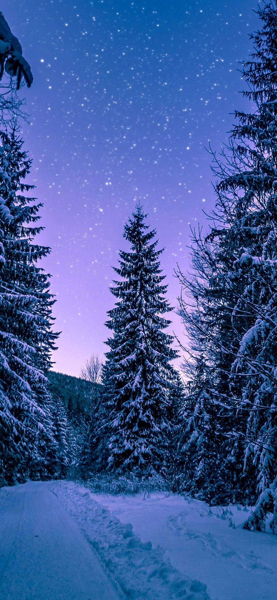 Dreamy Winter Forest iPhone Wallpaper