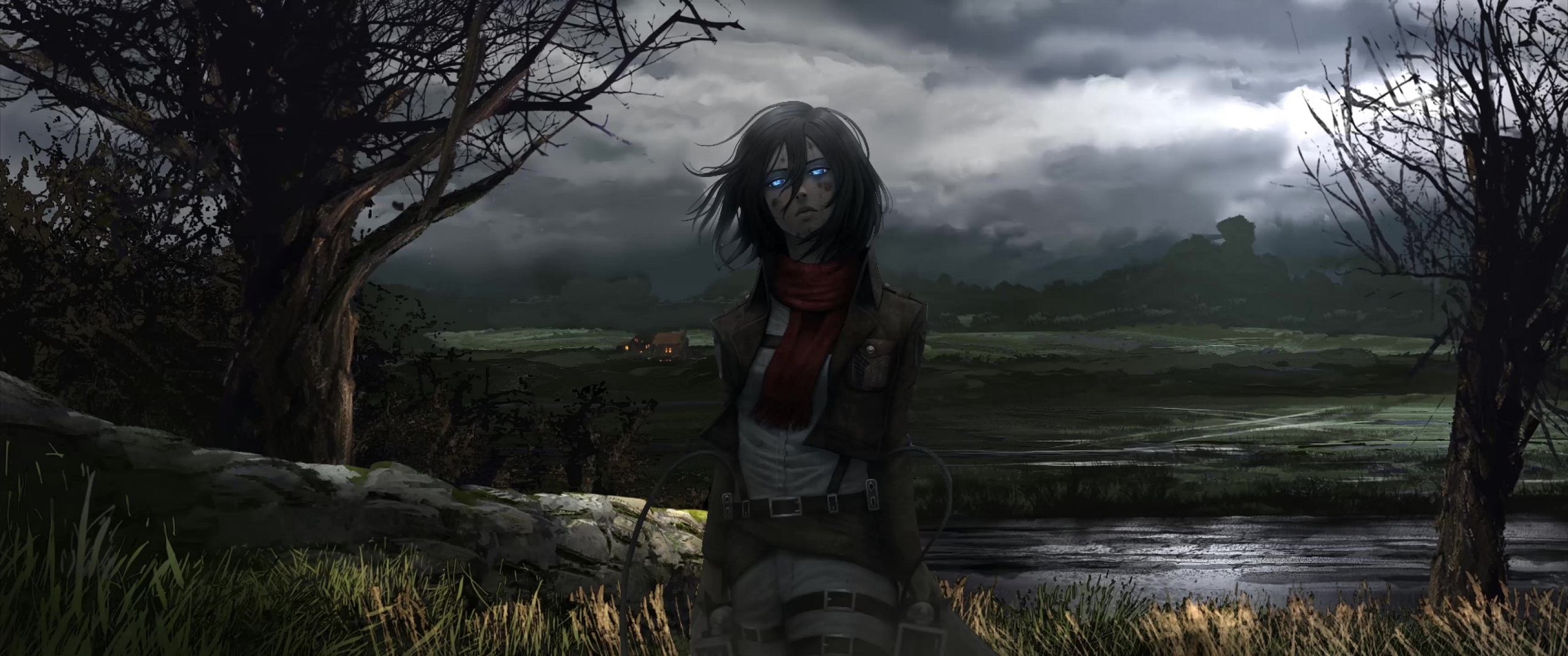 Sad Mikasa Ackerman Attack On Titan