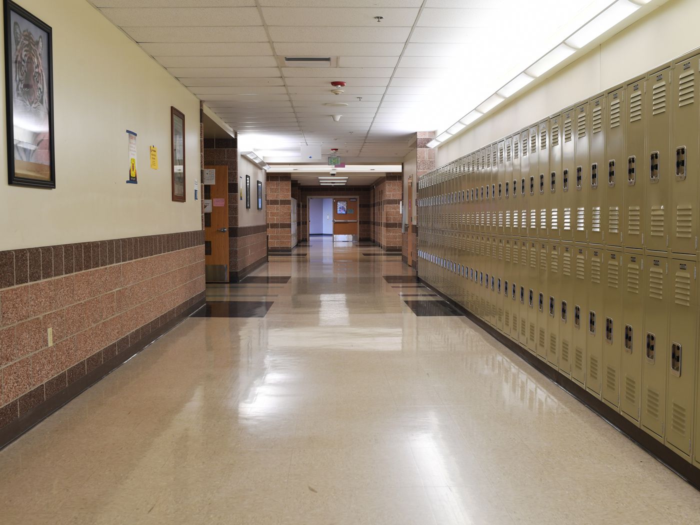 School closures and virtual graduations: How coronavirus has affected students' senior year