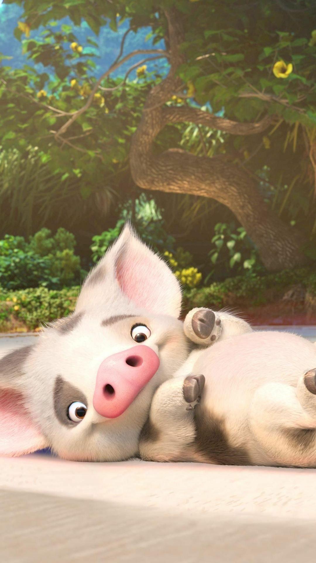 Moana Pig Wallpaper