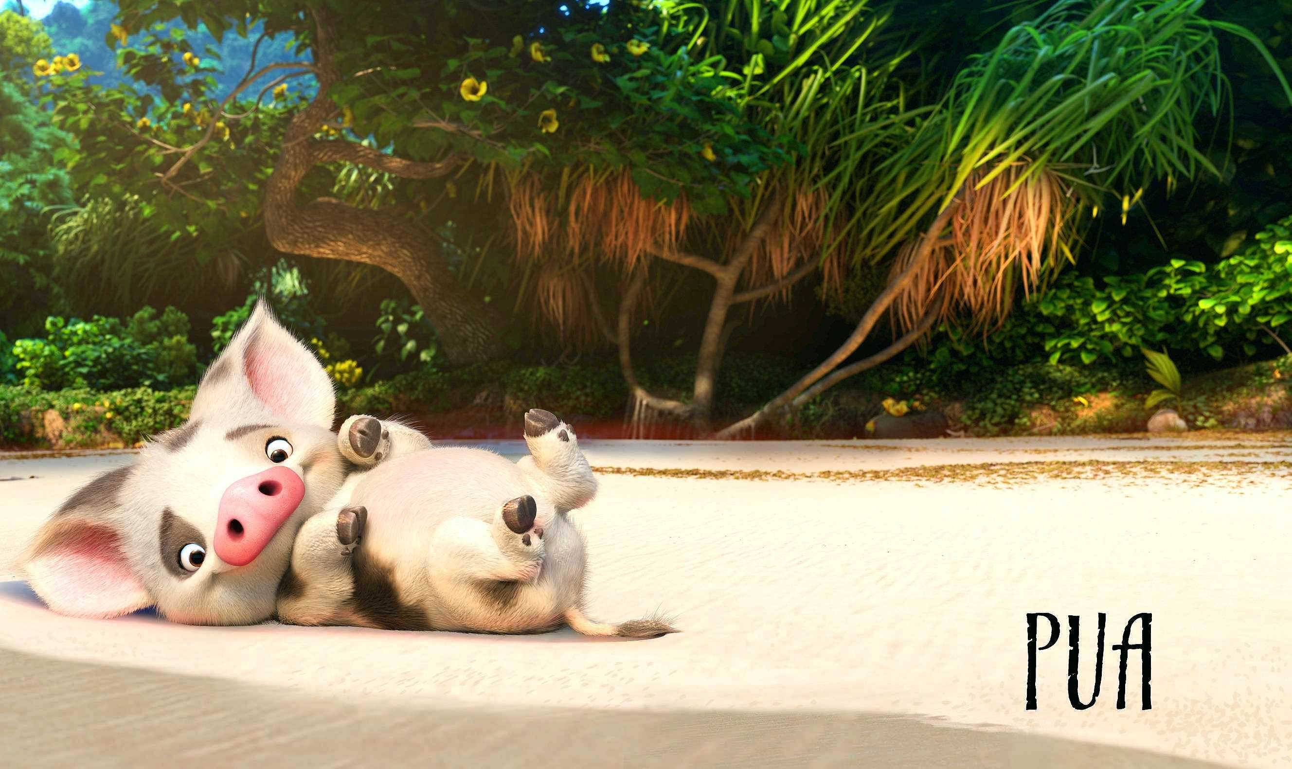 Pua.The loyal pet pig.. Click on image for *SUPER.. Moana, Fondo de pantalla de frozen, Princesas disney