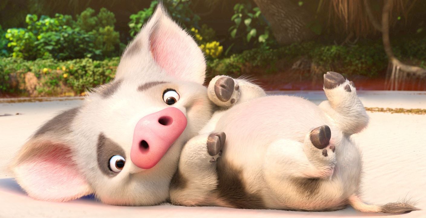 Stitch Kingdom has BUM WORMS #Moana poses at high res. Here's Pua at 100% (assuming Twitter didn't downsample)