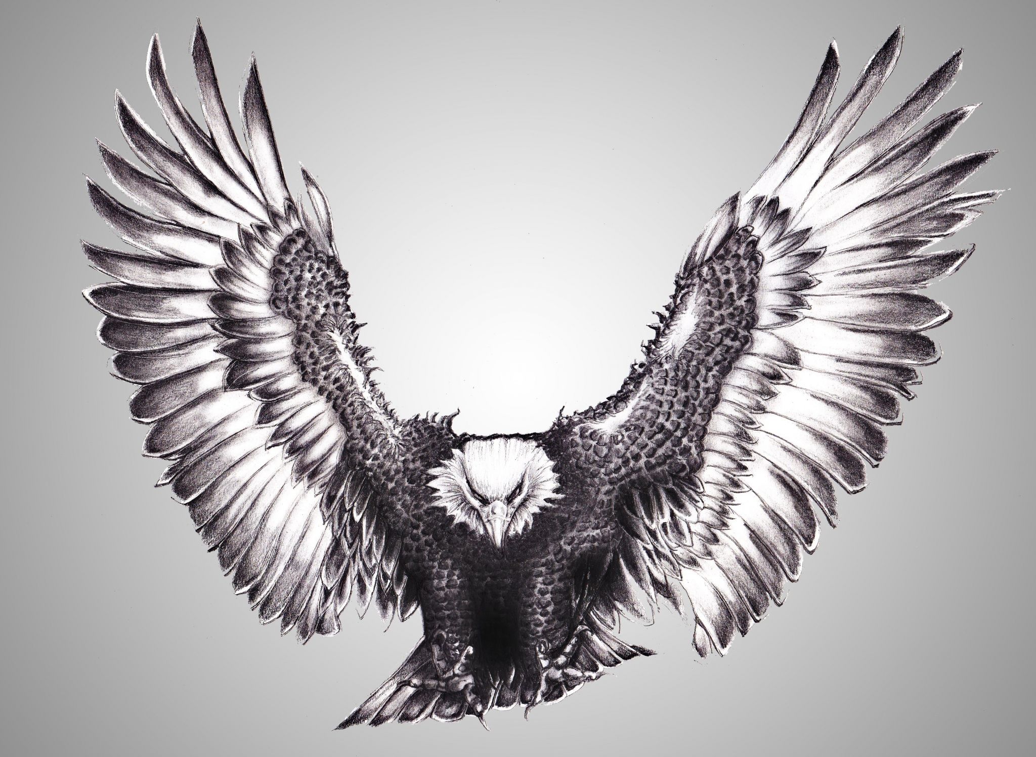 eagle pc background HD free. Eagle neck tattoo, Bald eagle tattoos, Eagle tattoos