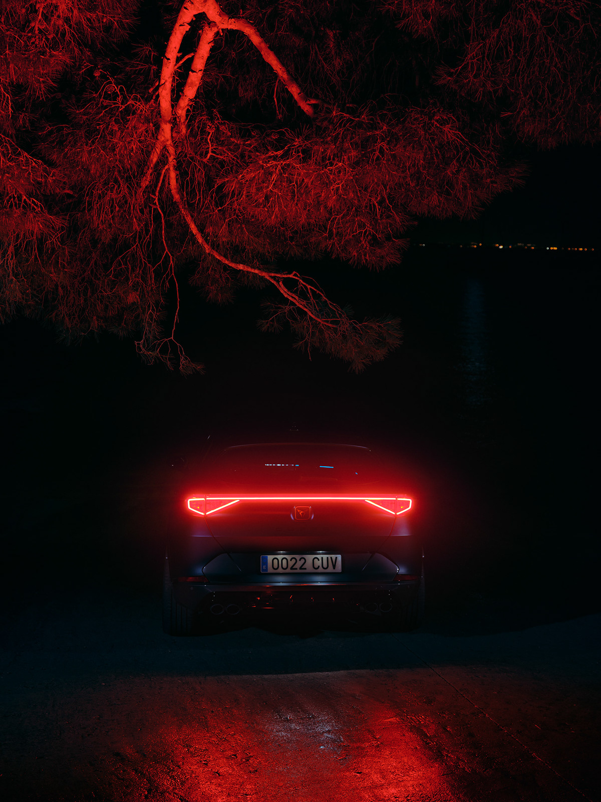 CUPRA FORMENTOR part II