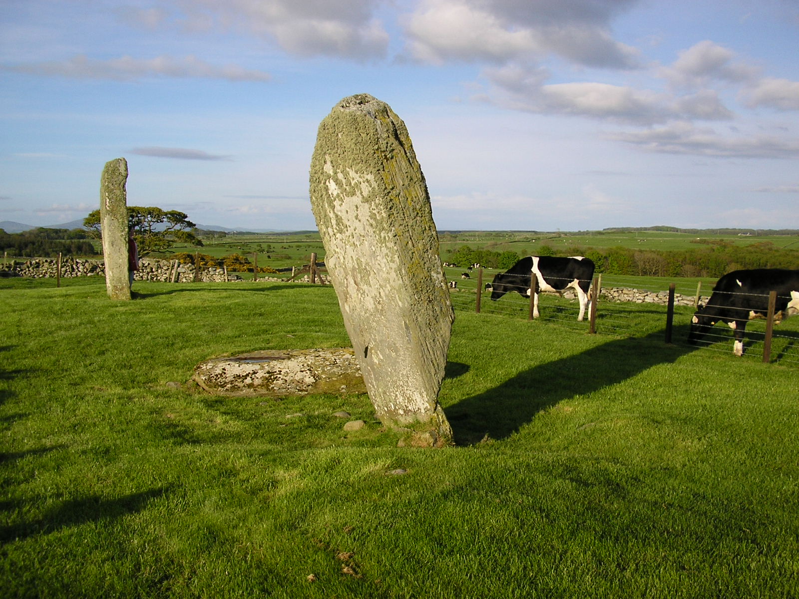 Drumtroddan standing stones