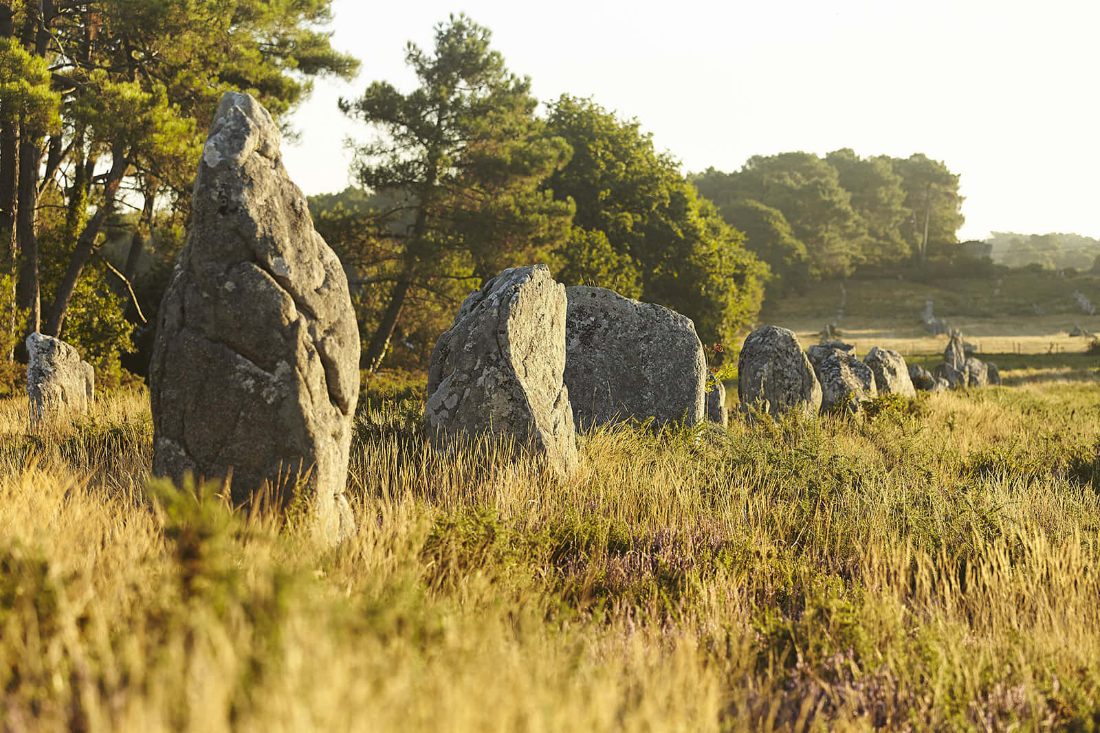 Download Majestic view of Carnac Standing Stones Wallpaper