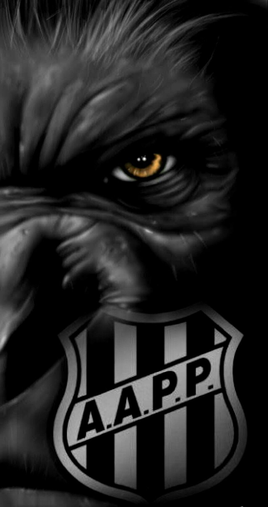 Minha pasta. alegria, Arte bob marley, Ninja mulher