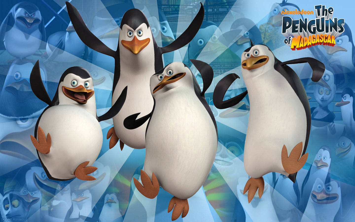 Download Madagascar Jumping Penguins Wallpaper