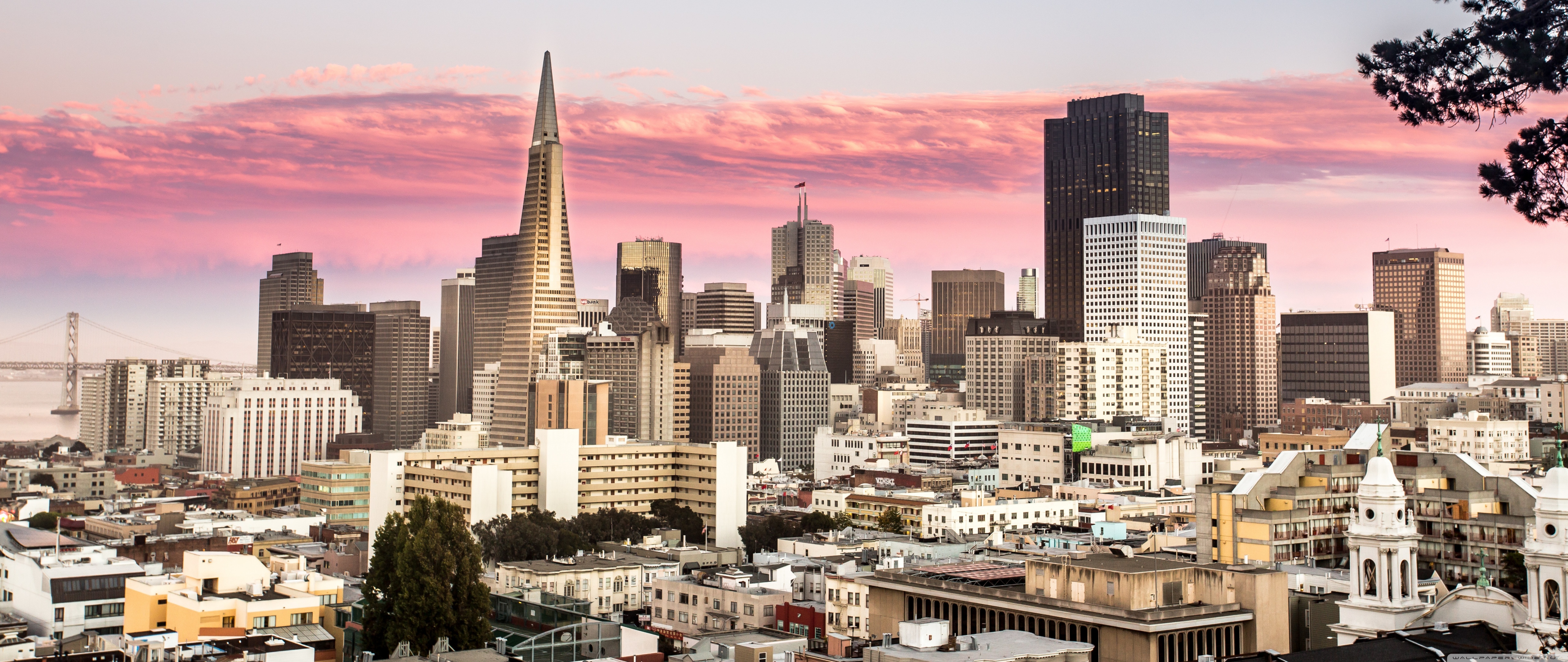 San Francisco City FiDi Ultra HD Desktop Background Wallpaper for 4K UHD TV, Widescreen & UltraWide Desktop & Laptop, Tablet