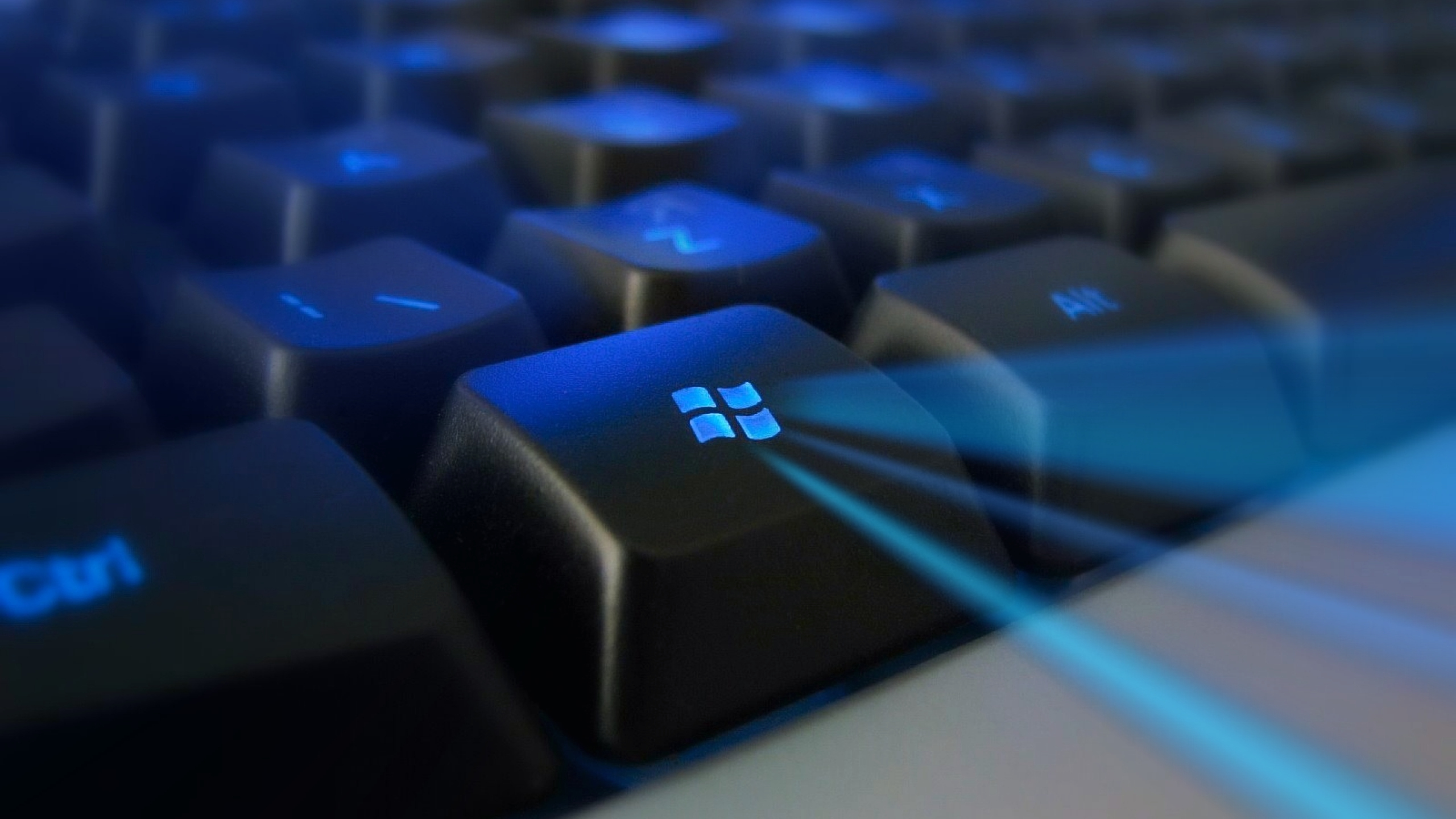 Wallpaper Black and Blue Computer Keyboard, Background Free Image