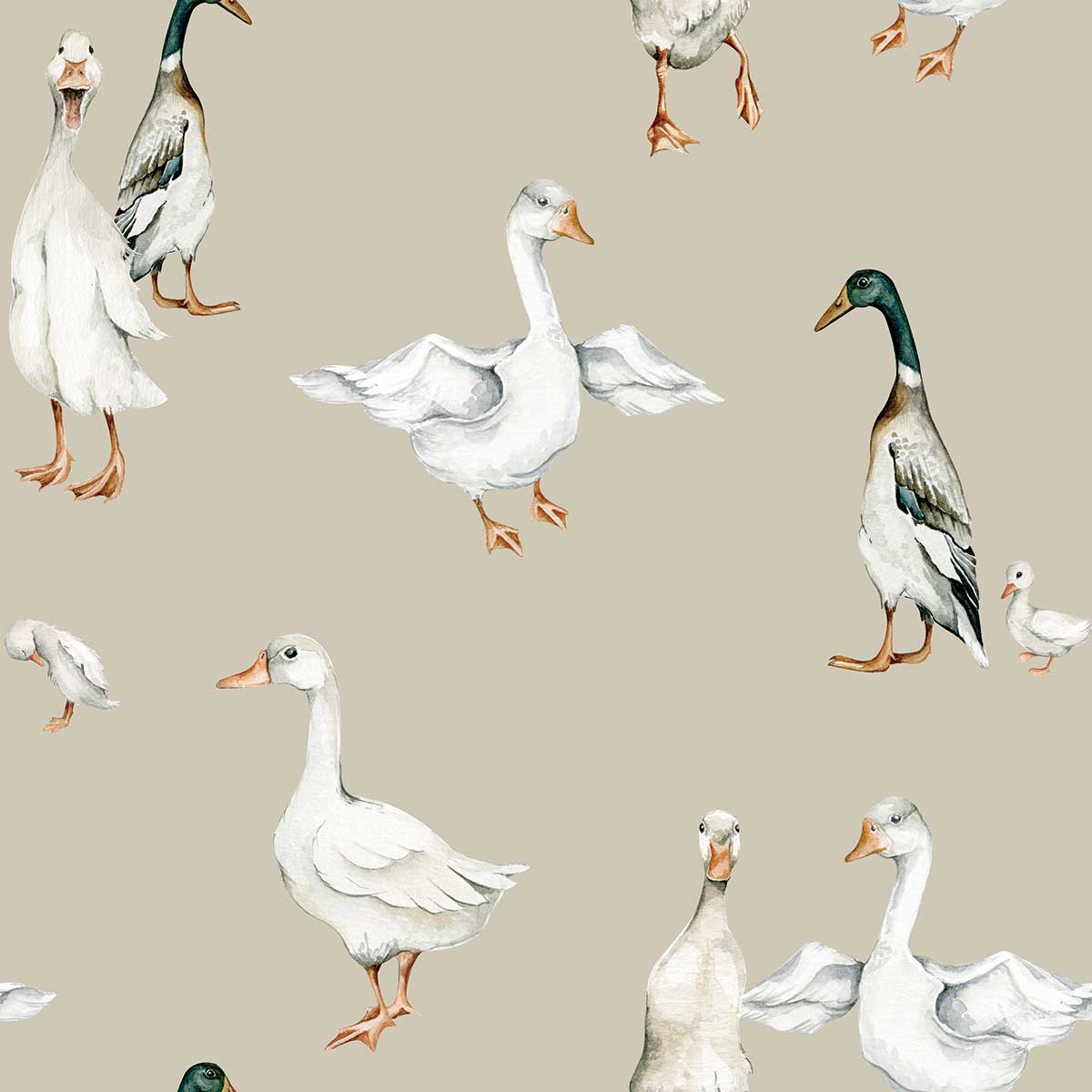 Duck Aesthetic Wallpapers - Wallpaper Cave