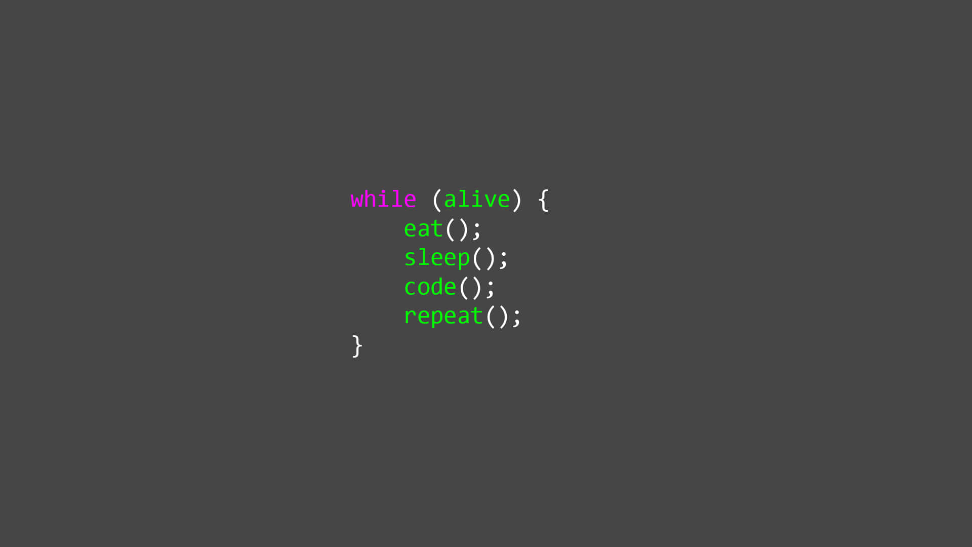 Smiling programmer code fun activities