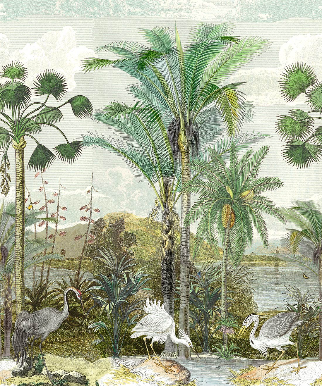 South Asian Subcontinent Mural • Tropical Mural