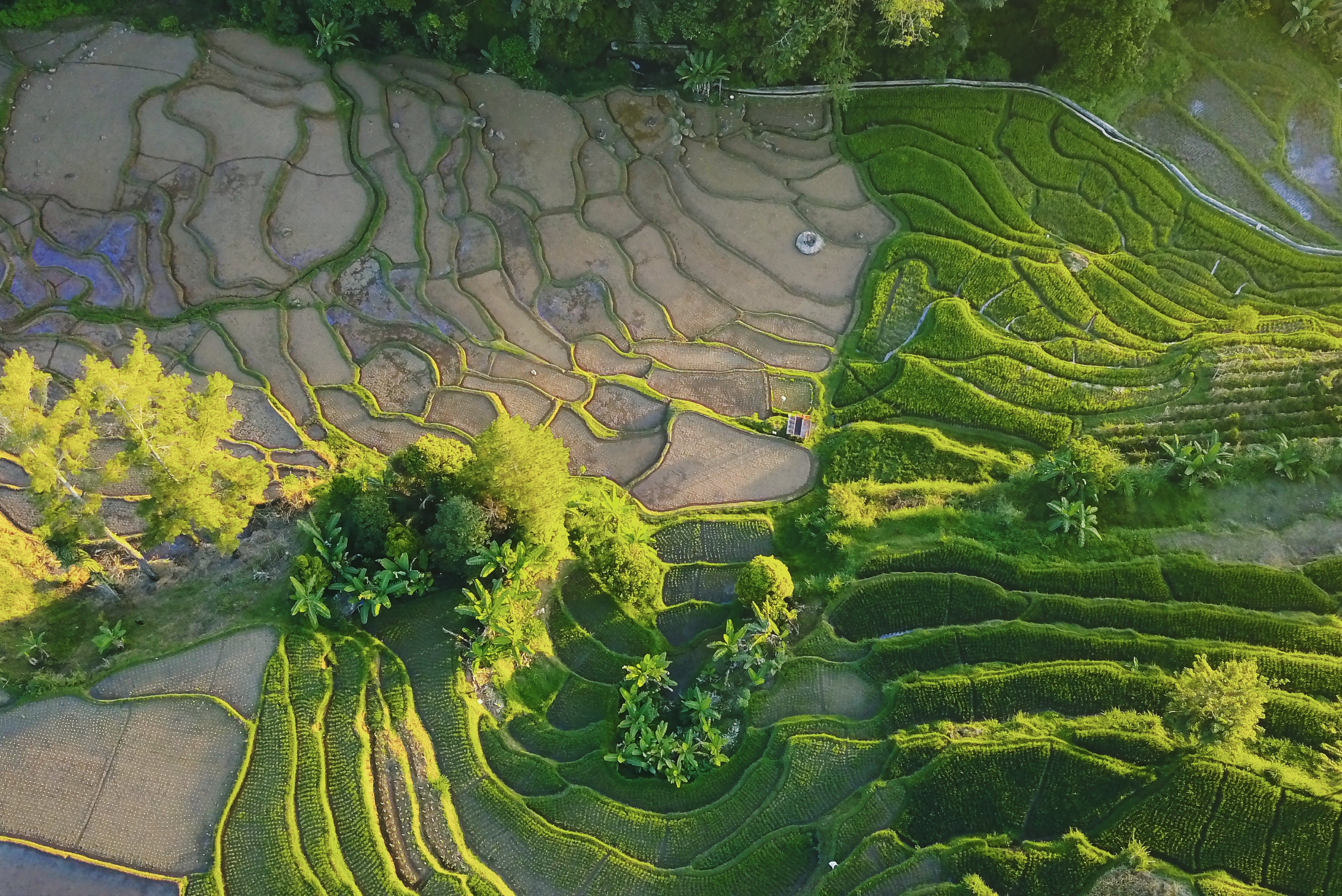 Southeast Asia Photo, Download The BEST Free Southeast Asia & HD Image
