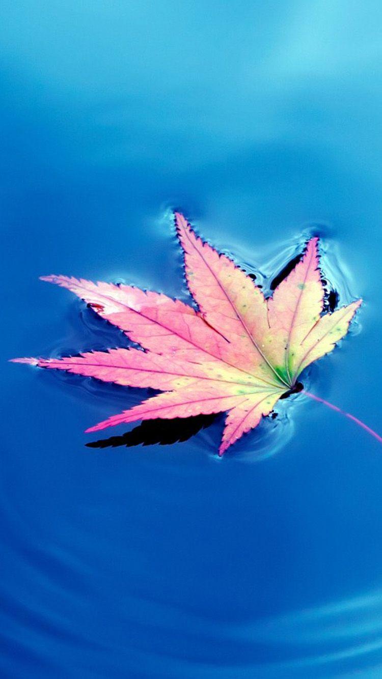 Small Phone Wallpaper