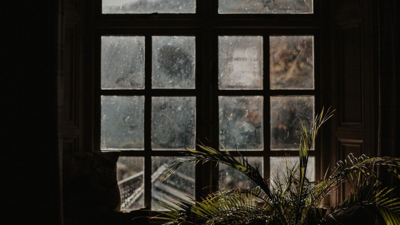 Dark Academia: An Exploration Through Photographs