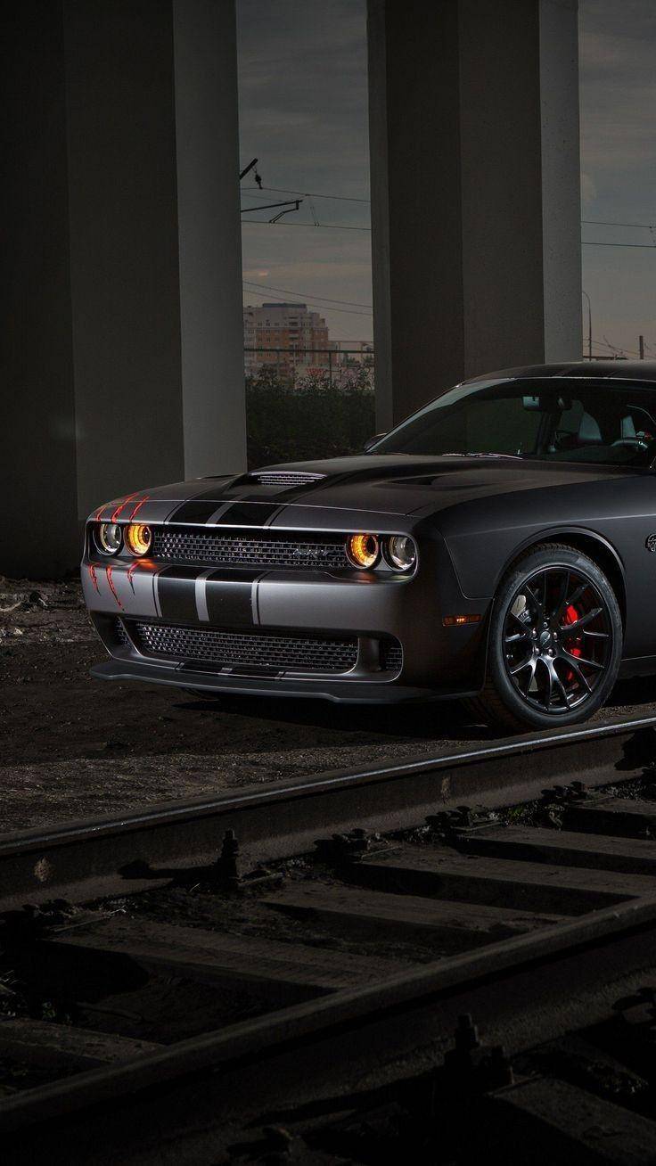 Mustang HD Wallpaper and Background image Free Download