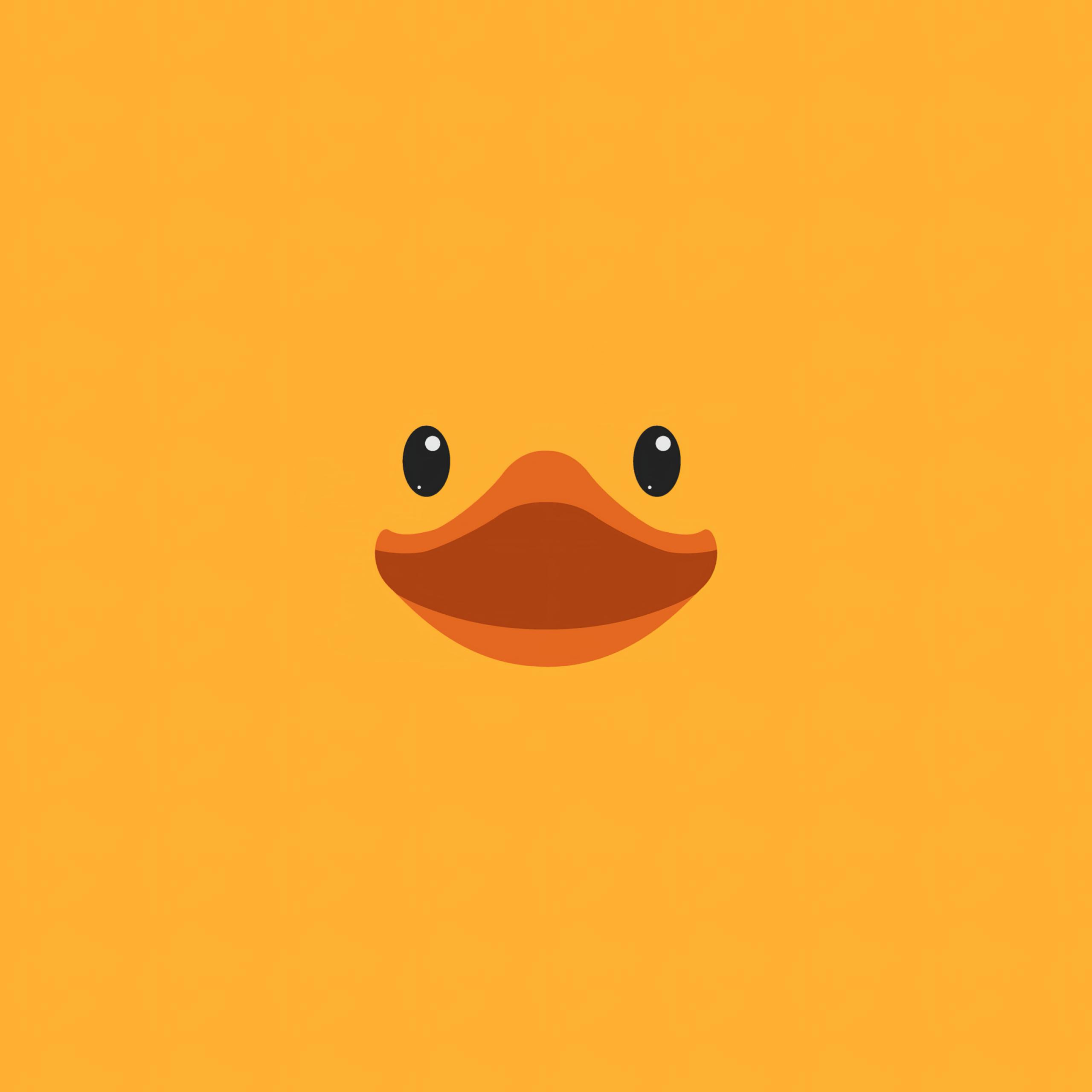 Cute duck Wallpaper 4K, Rubber Ducky Day, Duck face