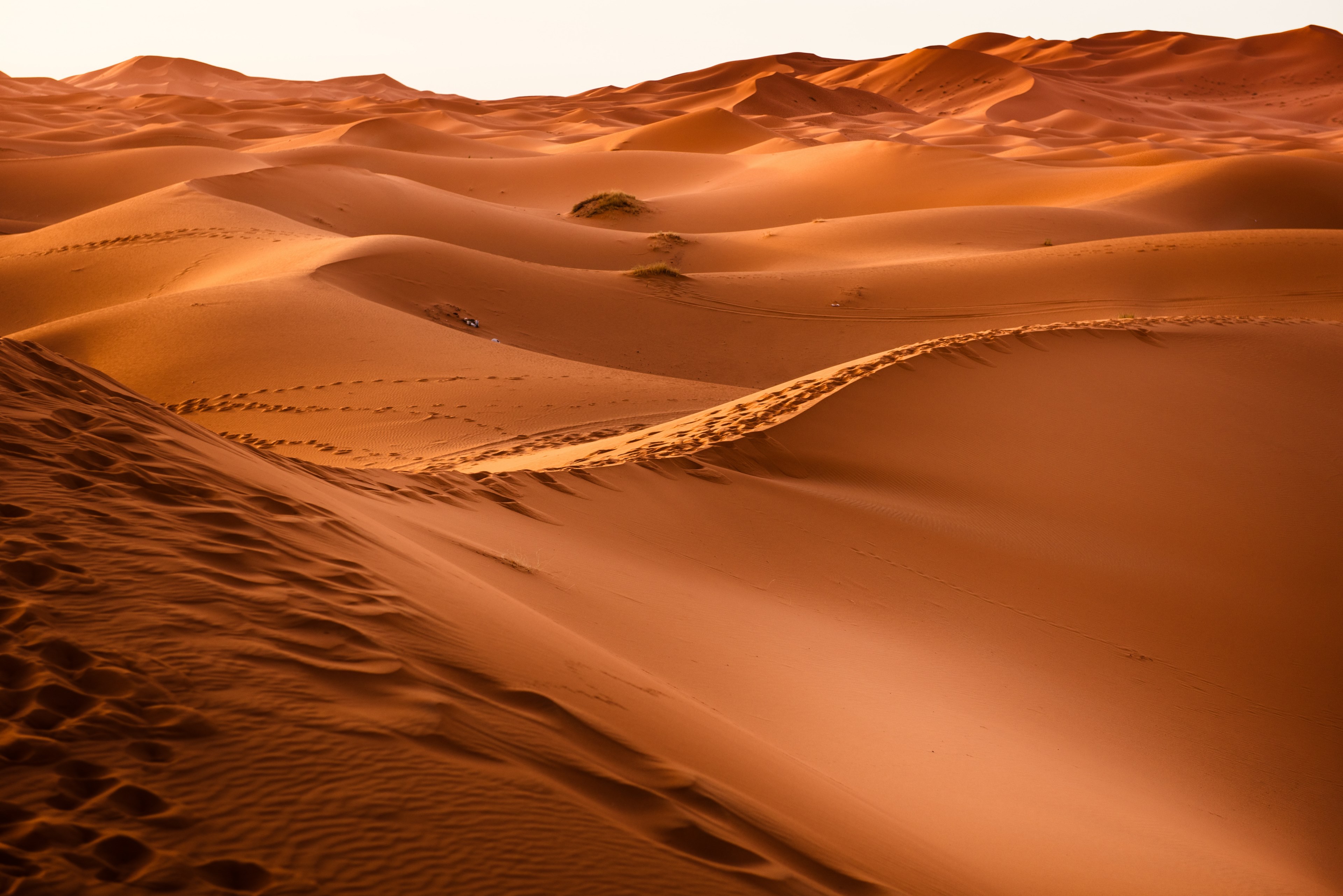Wallpaper / desert morocco sand dune dry landscape 4k wallpaper free download