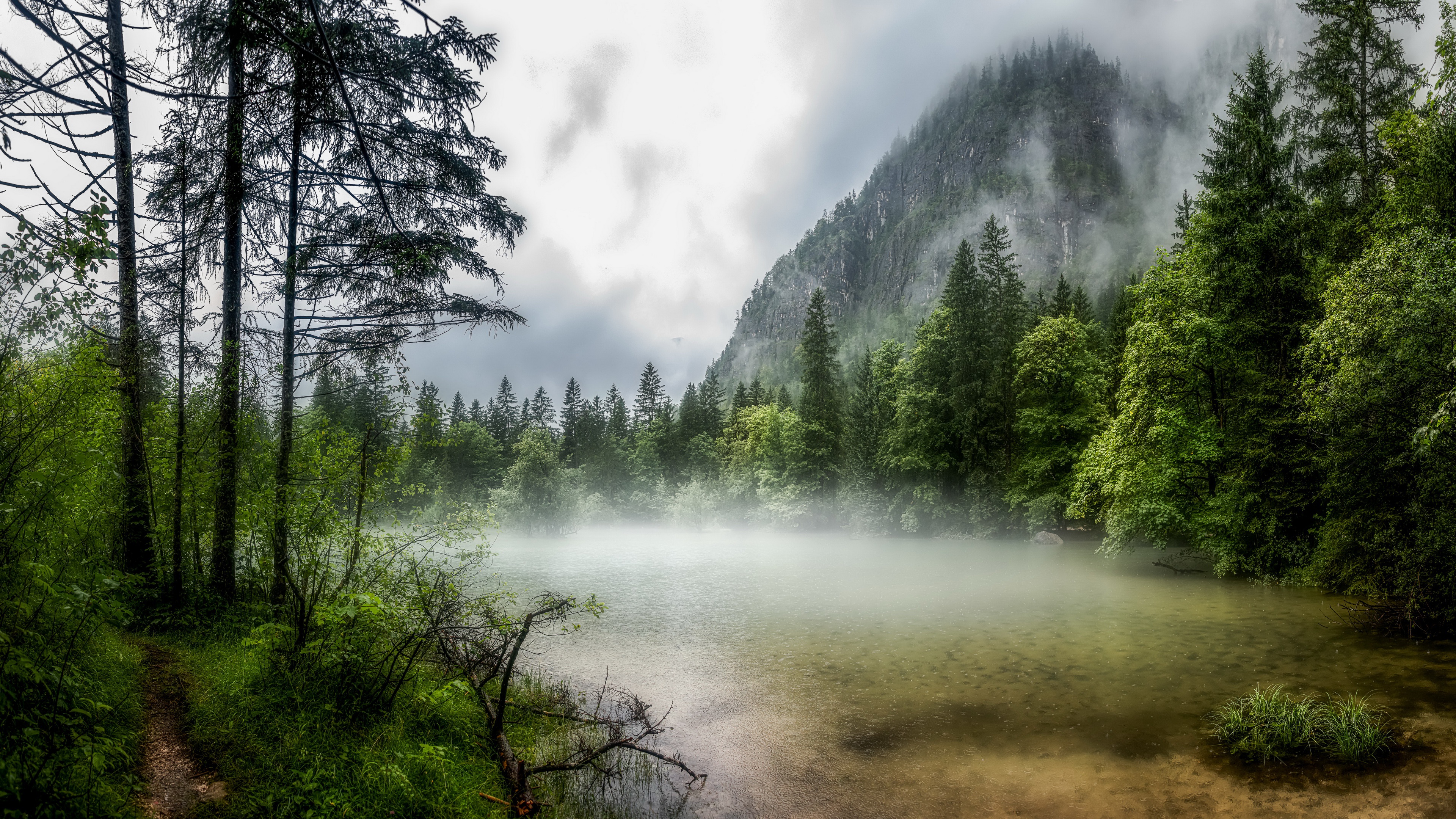 HD desktop wallpaper: Lake, Forest, Fog, Austria, Earth download free picture