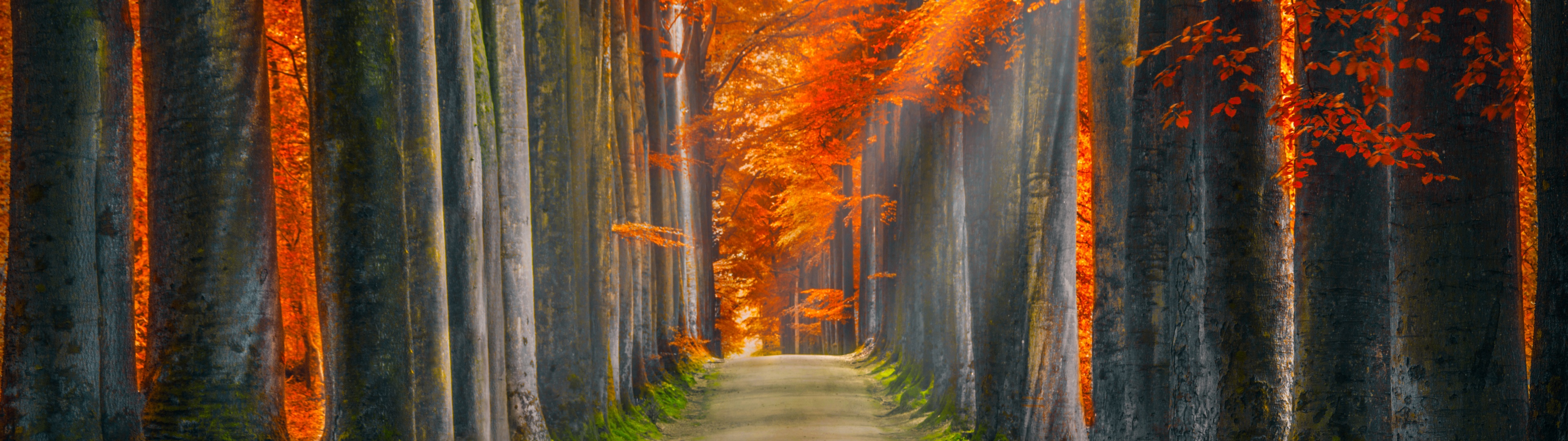 Dual Monitor HD Wallpaperx1080 Wallpaper