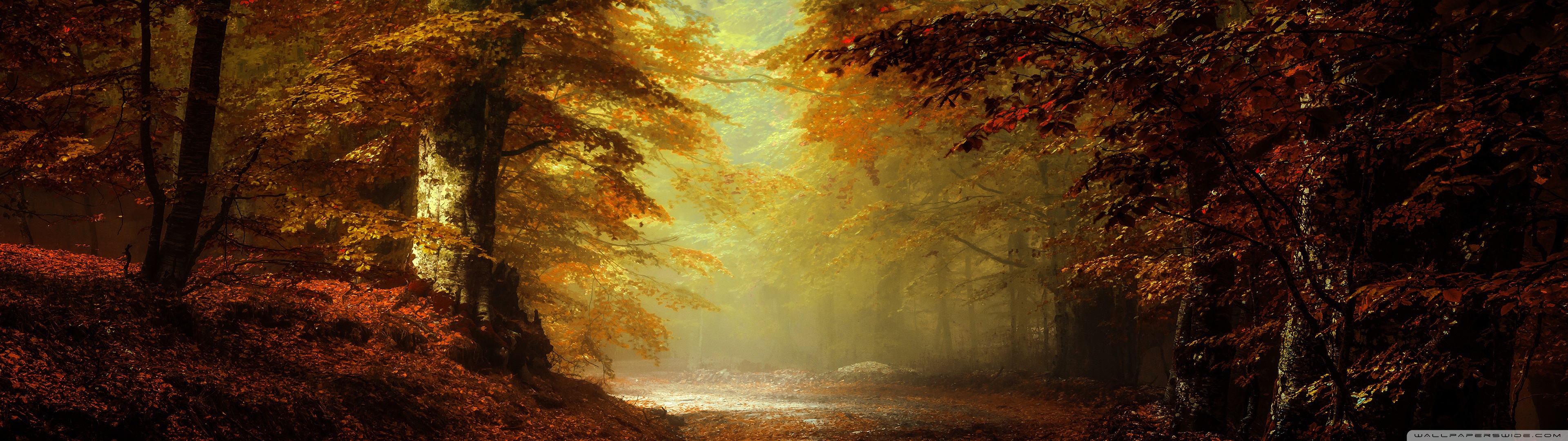 Beautiful Autumn Landscape Ultra HD Desktop Background Wallpaper for: Widescreen & UltraWide Desktop & Laptop, Multi Display, Dual Monitor, Tablet