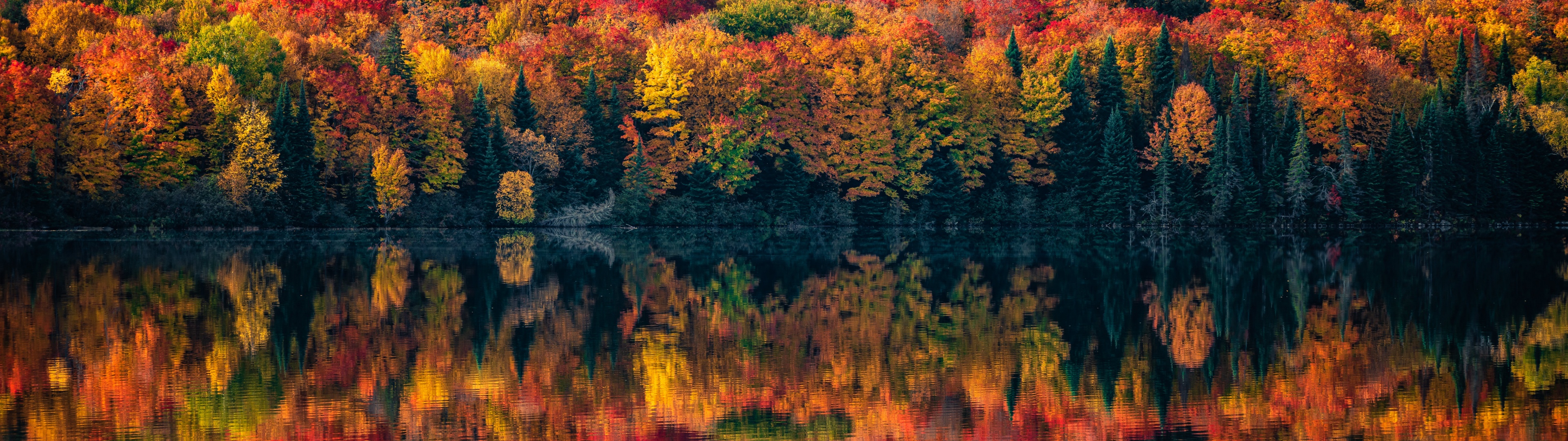 Dual Monitor HD Wallpaperx1080 Wallpaper