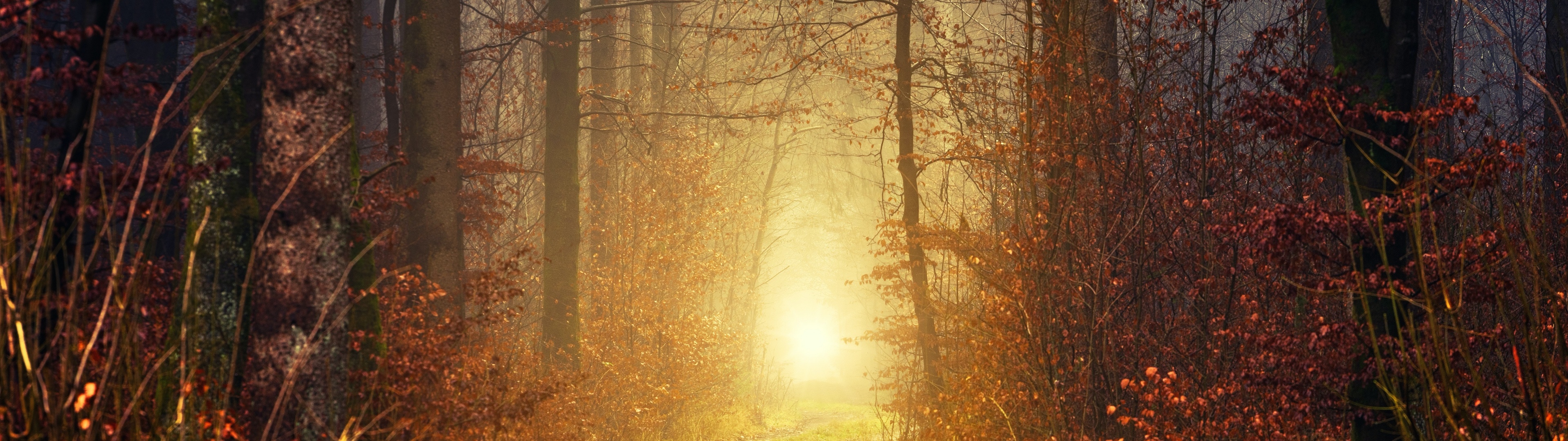 Dual Monitor HD Wallpaperx1080 Wallpaper