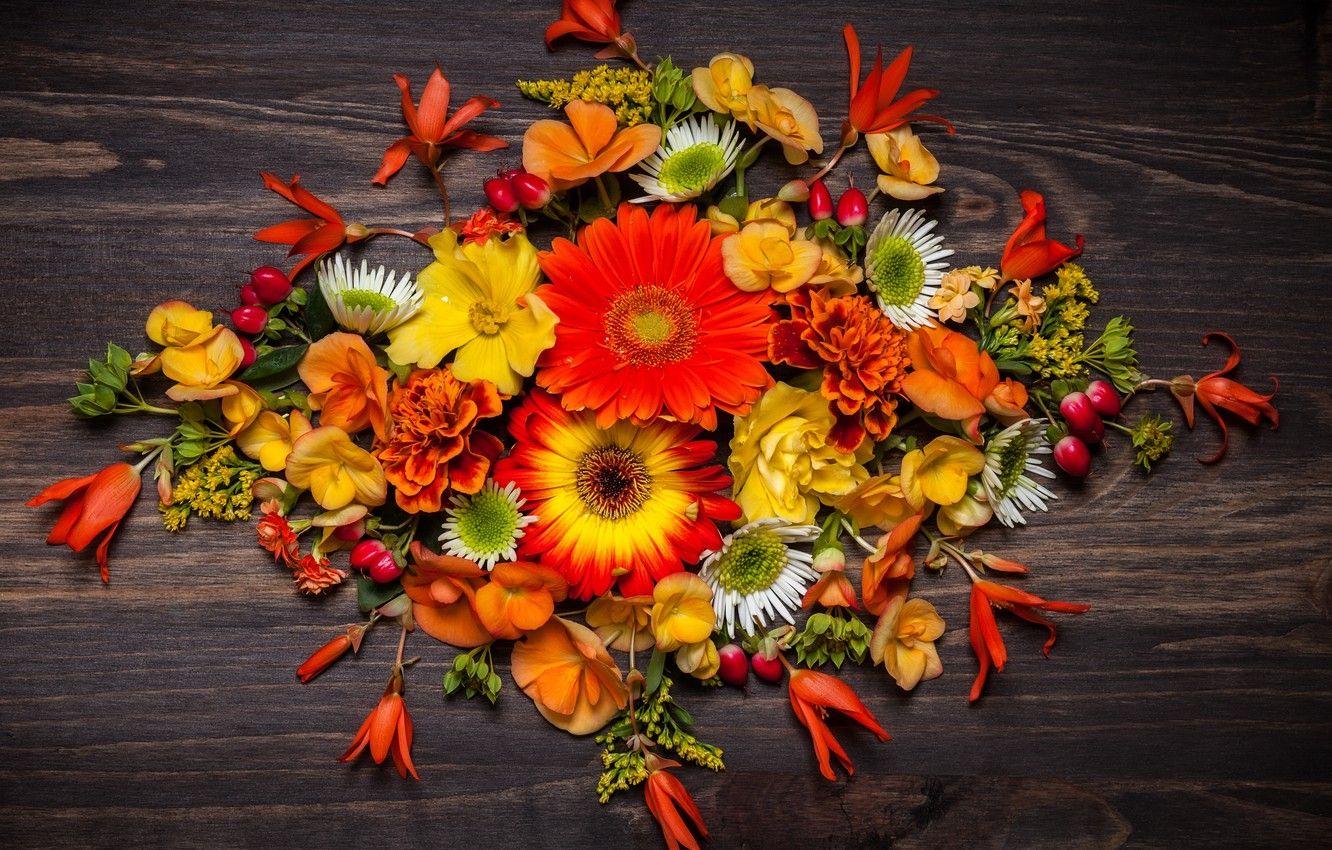 Flowers Autumn Wallpaper