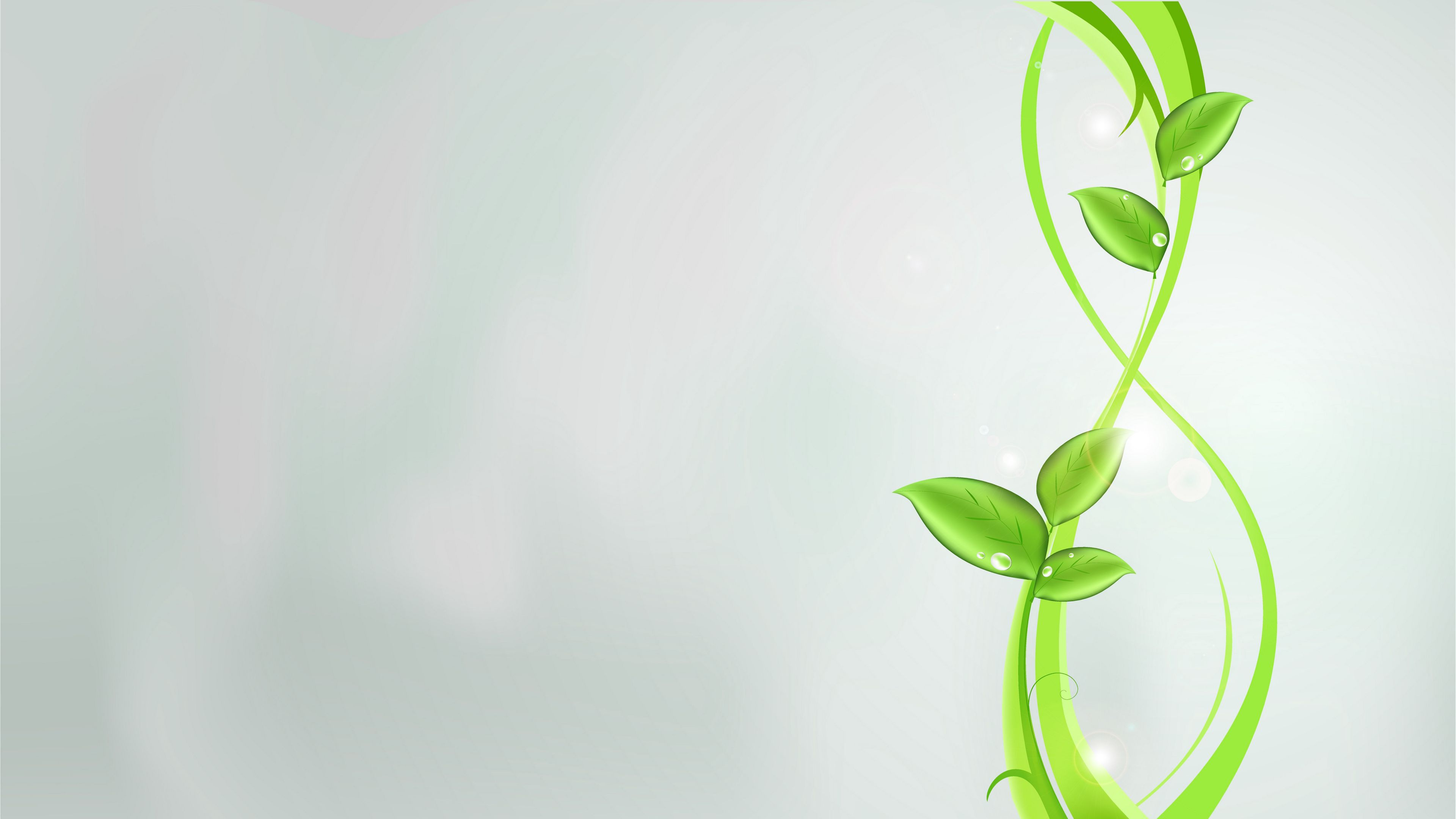 Wallpaper / plants, green, abstract, leaves, patterns, bright, glare, 4k free download