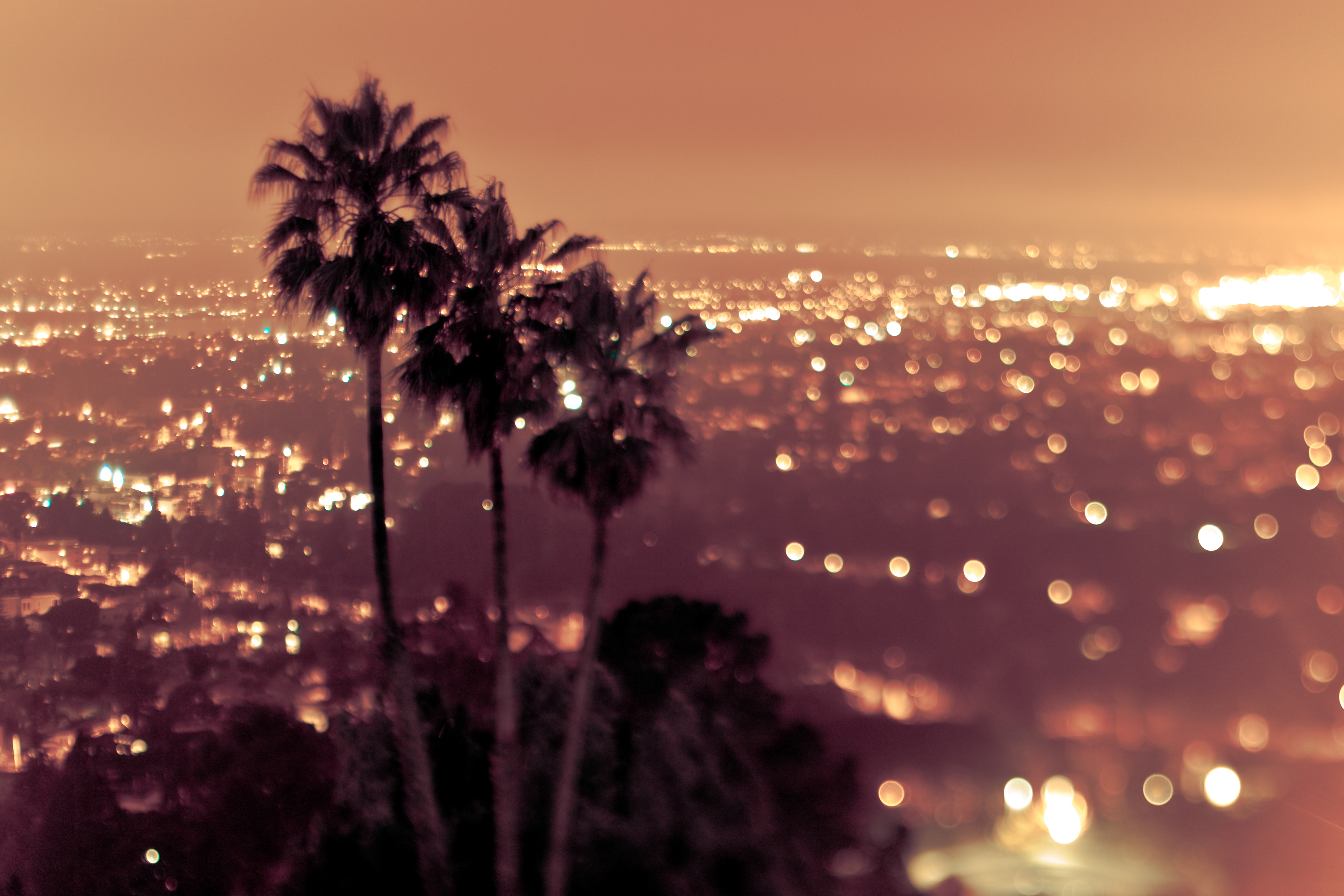 Wallpaper, lights, sunset, city, cityscape, night, water, reflection, sky, skyline, evening, morning, atmosphere, summer, bokeh, heat, dusk, tree, dawn, palmtrees, lighting, three, computer wallpaper, urbansunset, csf 3967x2644