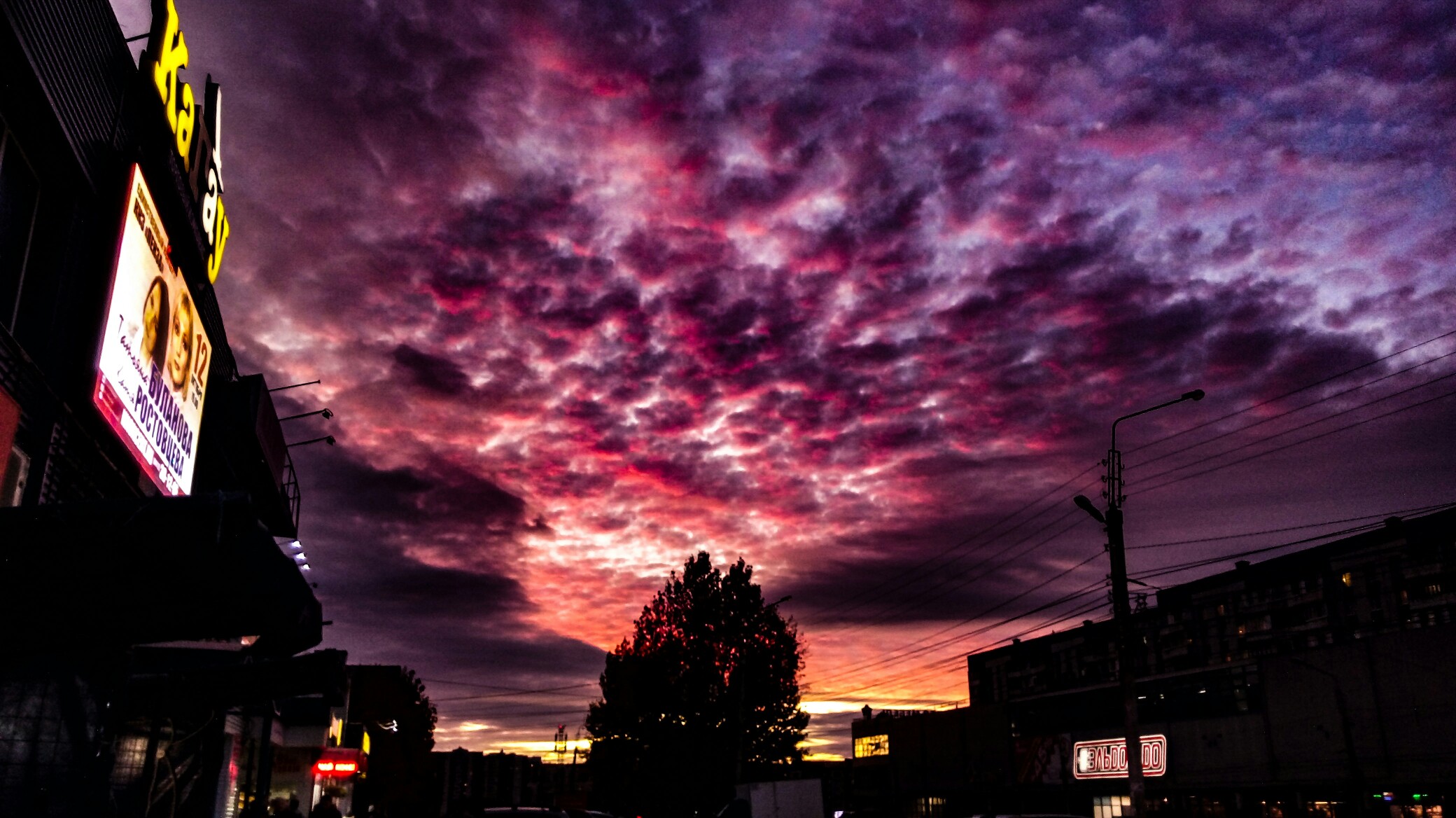 Free Image, clouds, weather, evening, summer, autumn, sunset, city, buildings, shadow, tree, crimson, blue, brightness, light, purple, dark, scarlet, cloud, night, atmosphere, afterglow, metropolis, meteorological phenomenon, dusk, cityscape