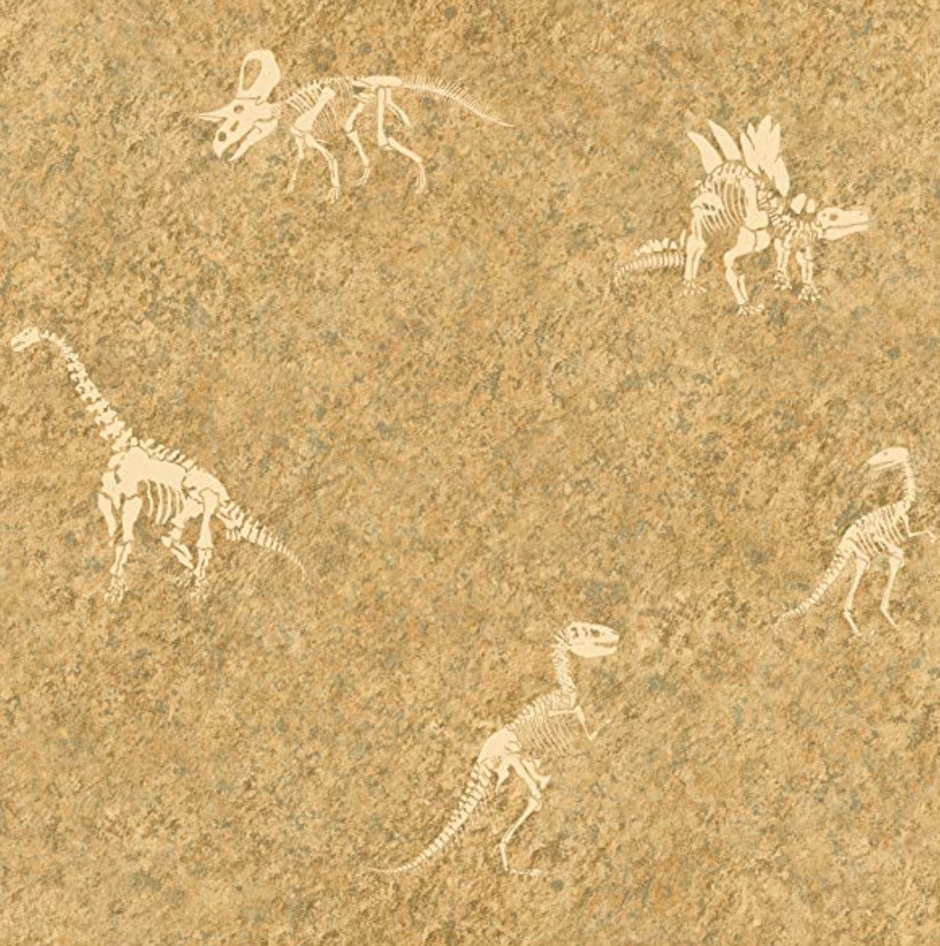Dinosaur Bones Fossil Wallpaper Prehistoric Childrens Room