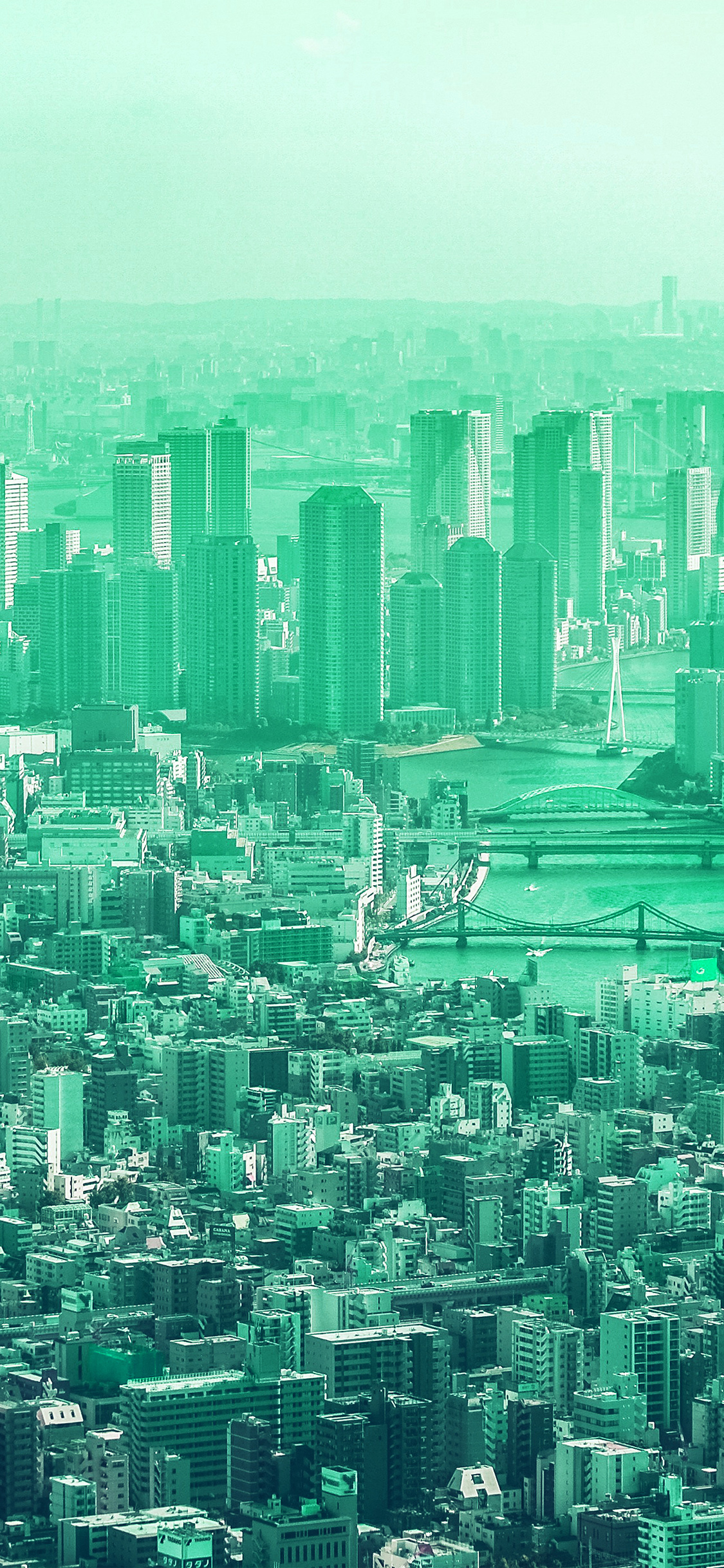 iPhone X wallpaper. green city cloud metropolitan urban building