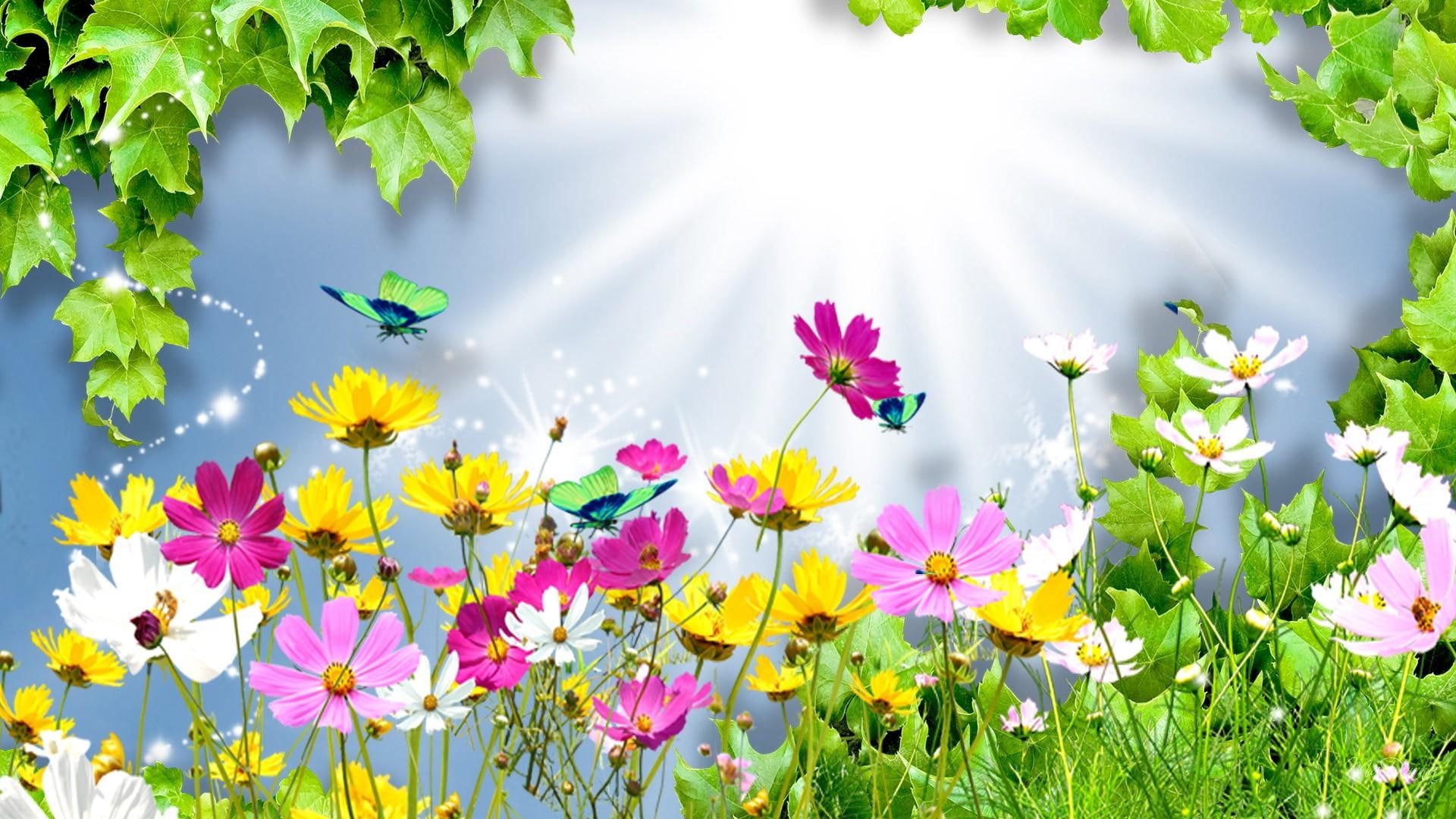 Wallpaper / wild flowers, 1080P, summer, spring, shine, bright, daisies, cosmos, 3D and abstract free download